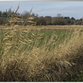 Marais de la Touques