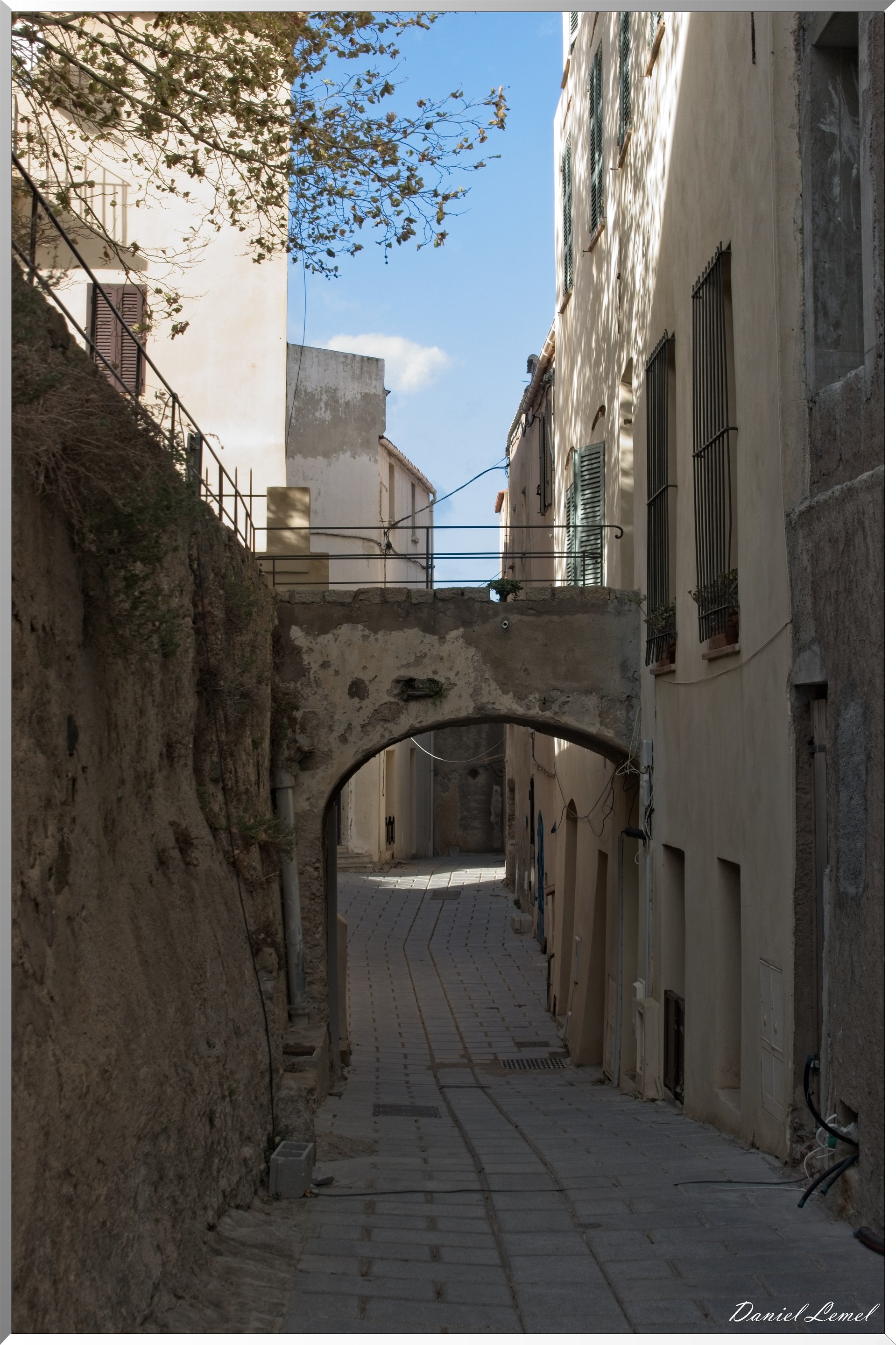 Rue