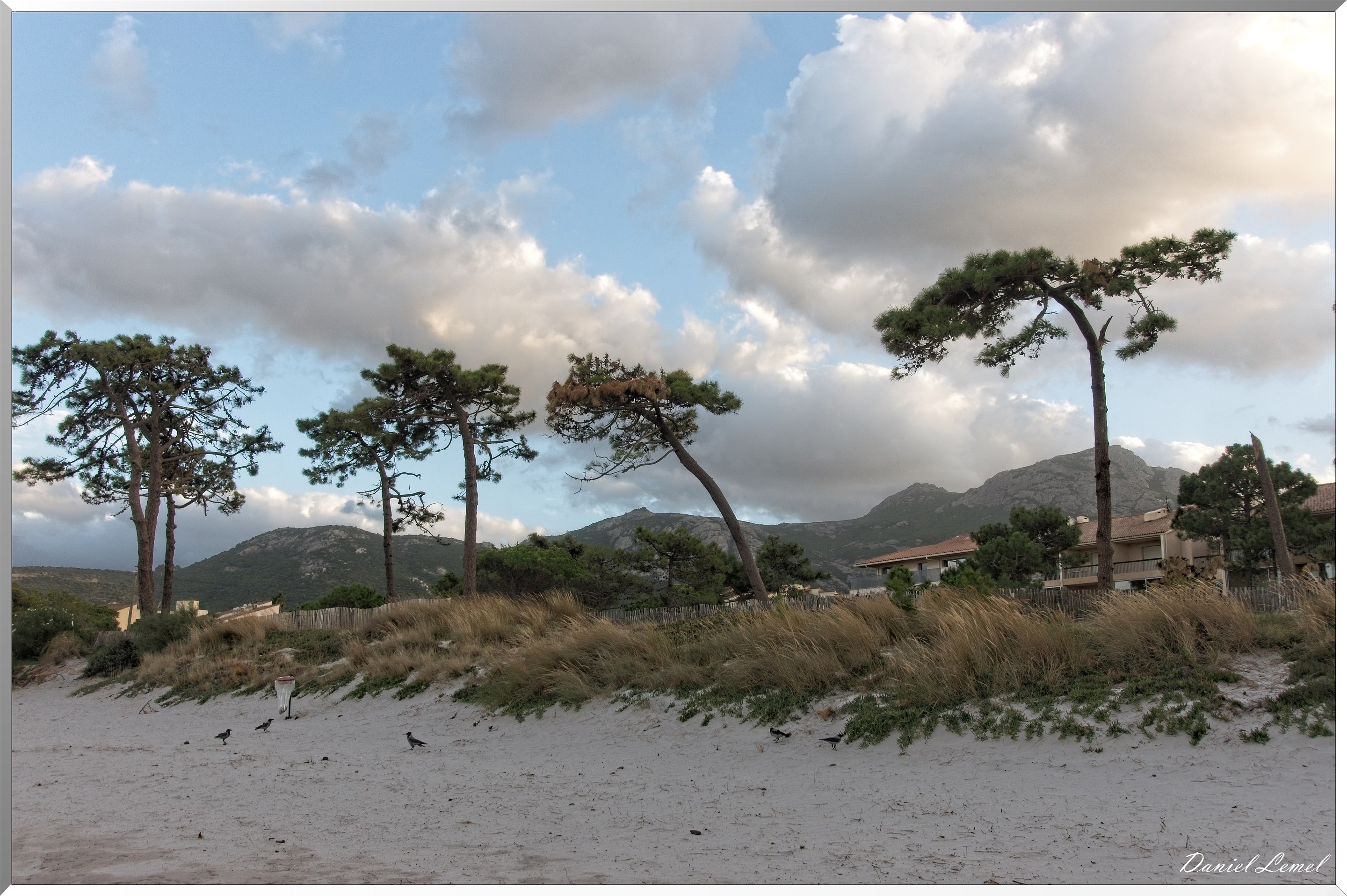 Plage