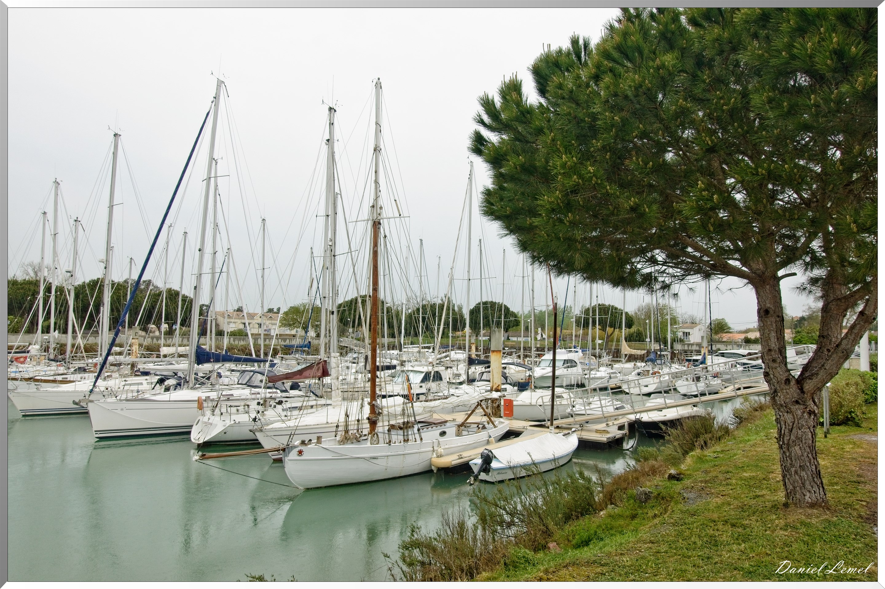  DSC3577 1