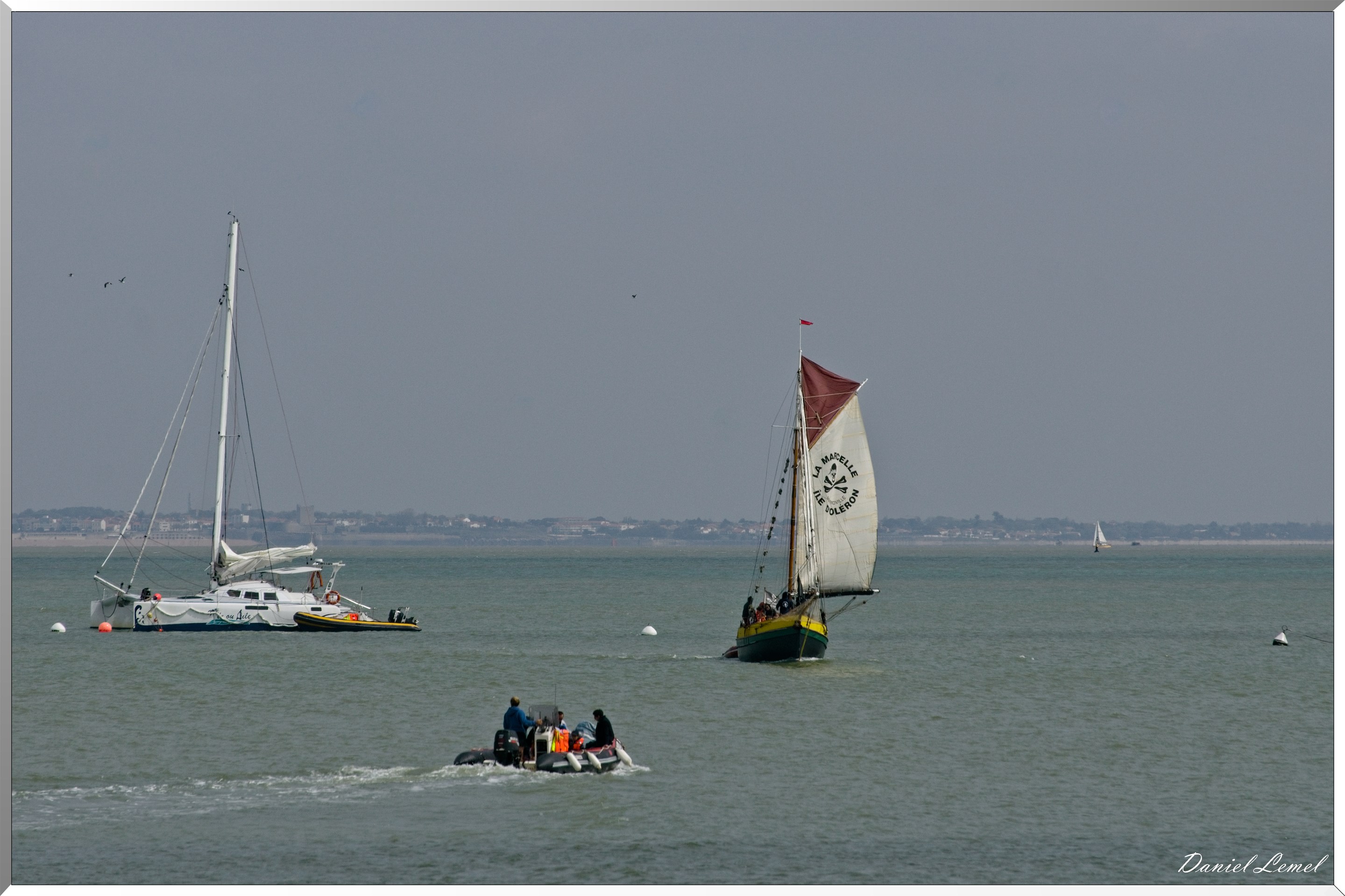  DSC3674 1