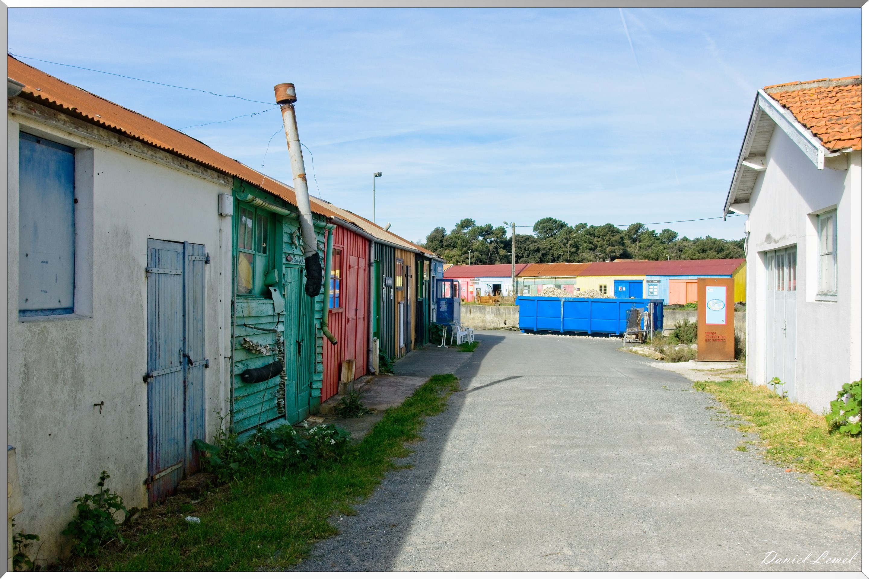  DSC3203 1