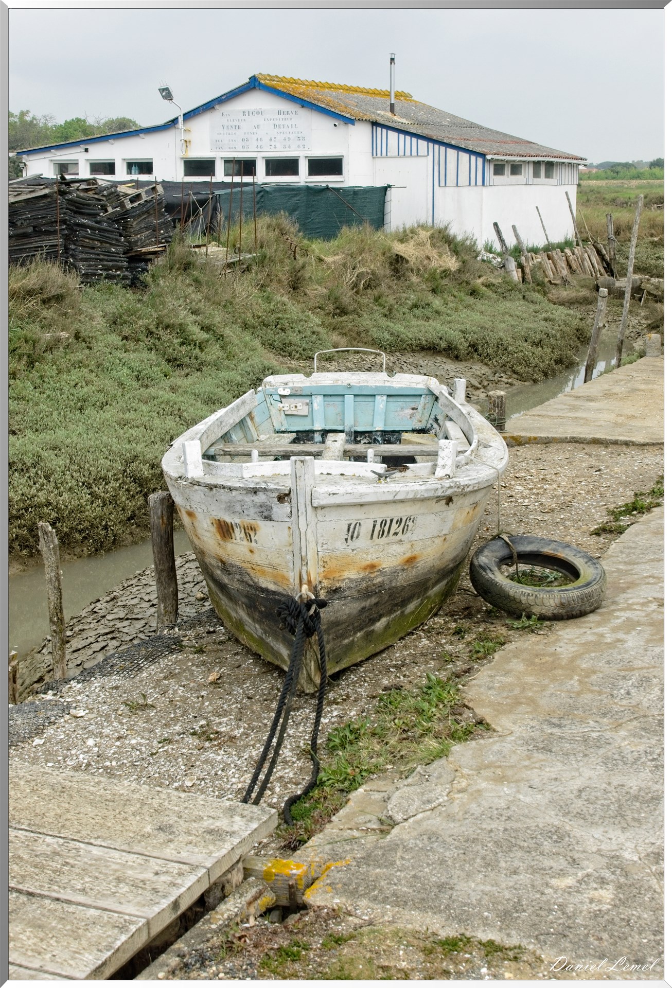  DSC3836 1
