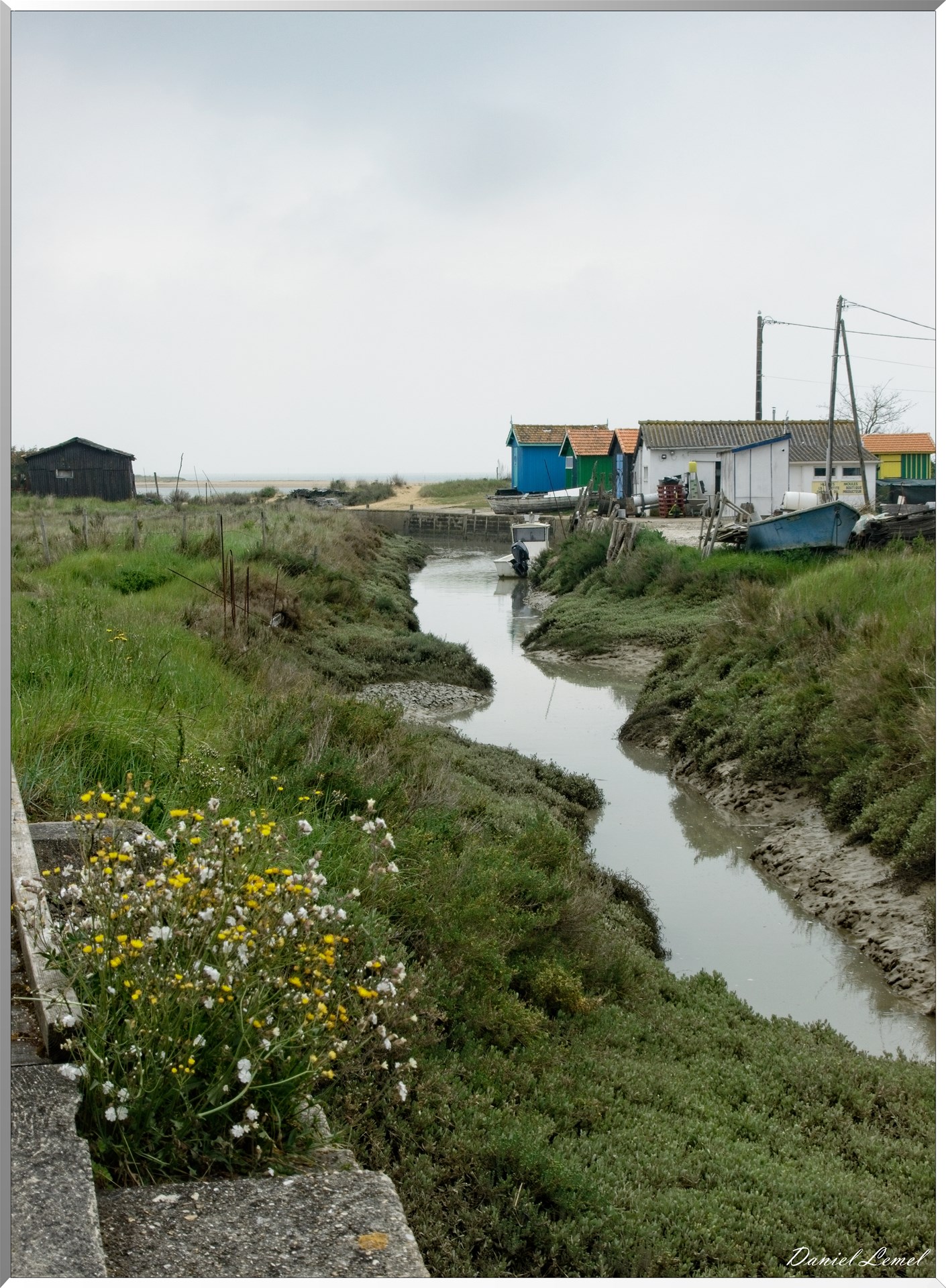  DSC3843 1