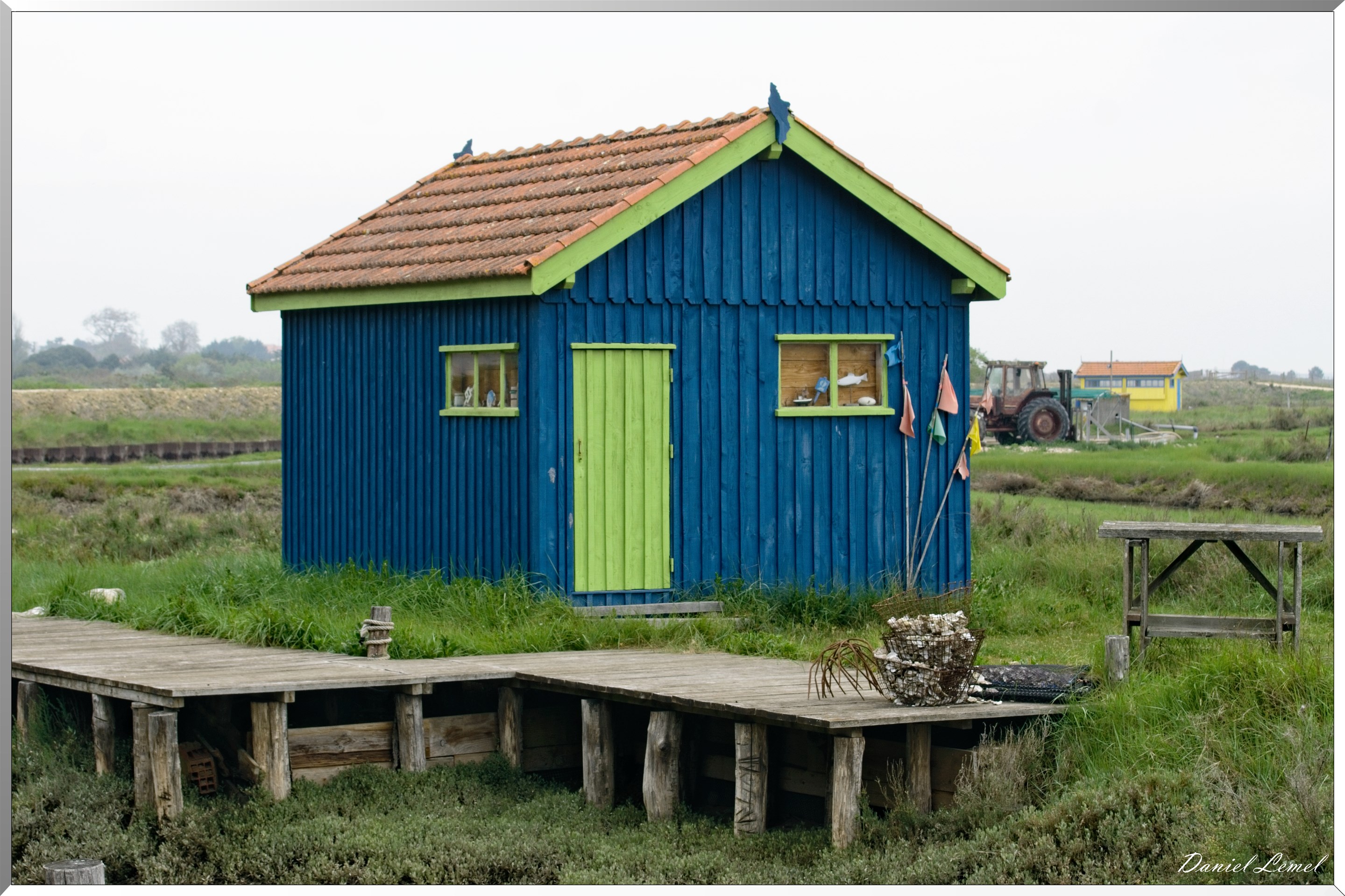  DSC4738 1