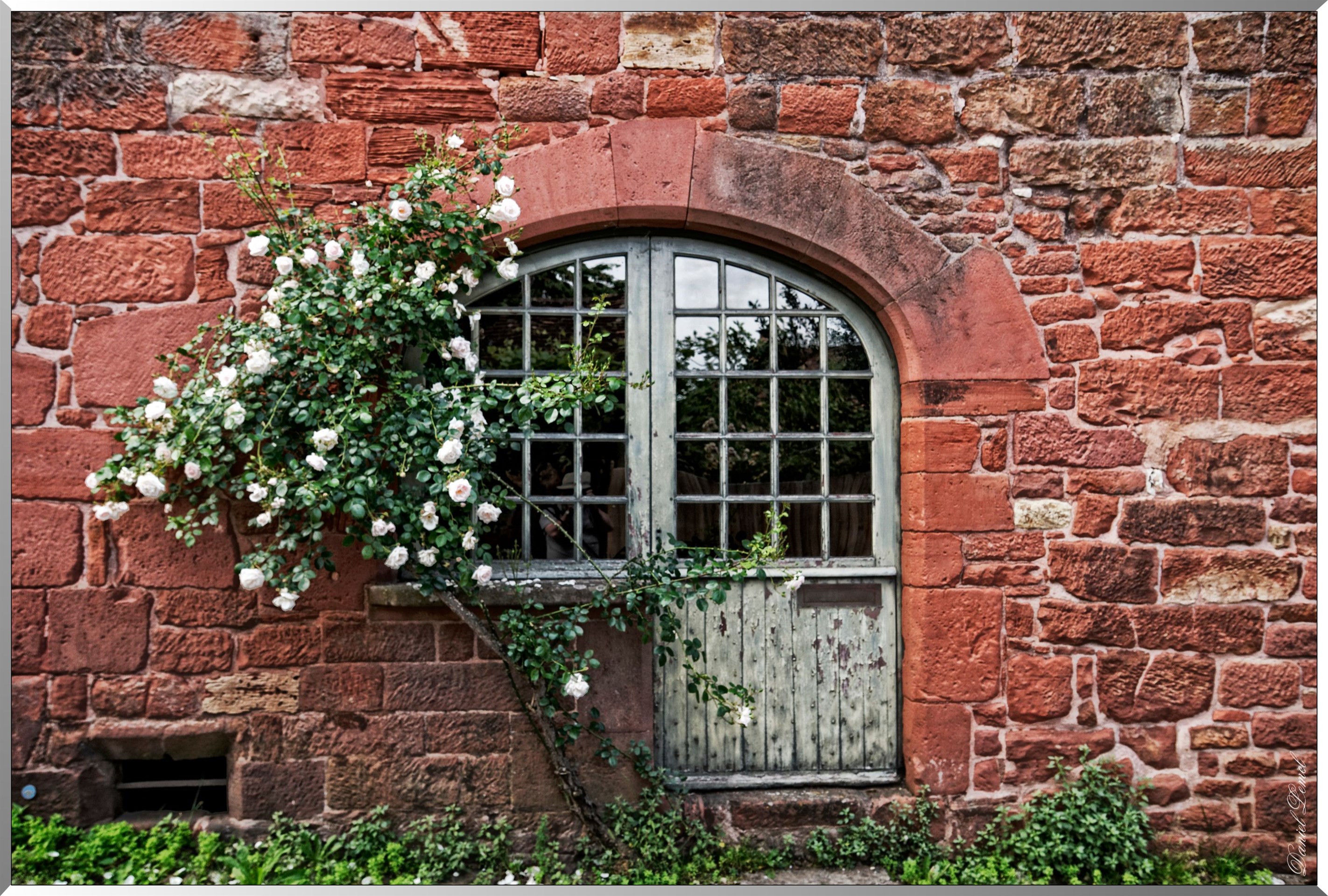 Porte-fenêtre fleurie