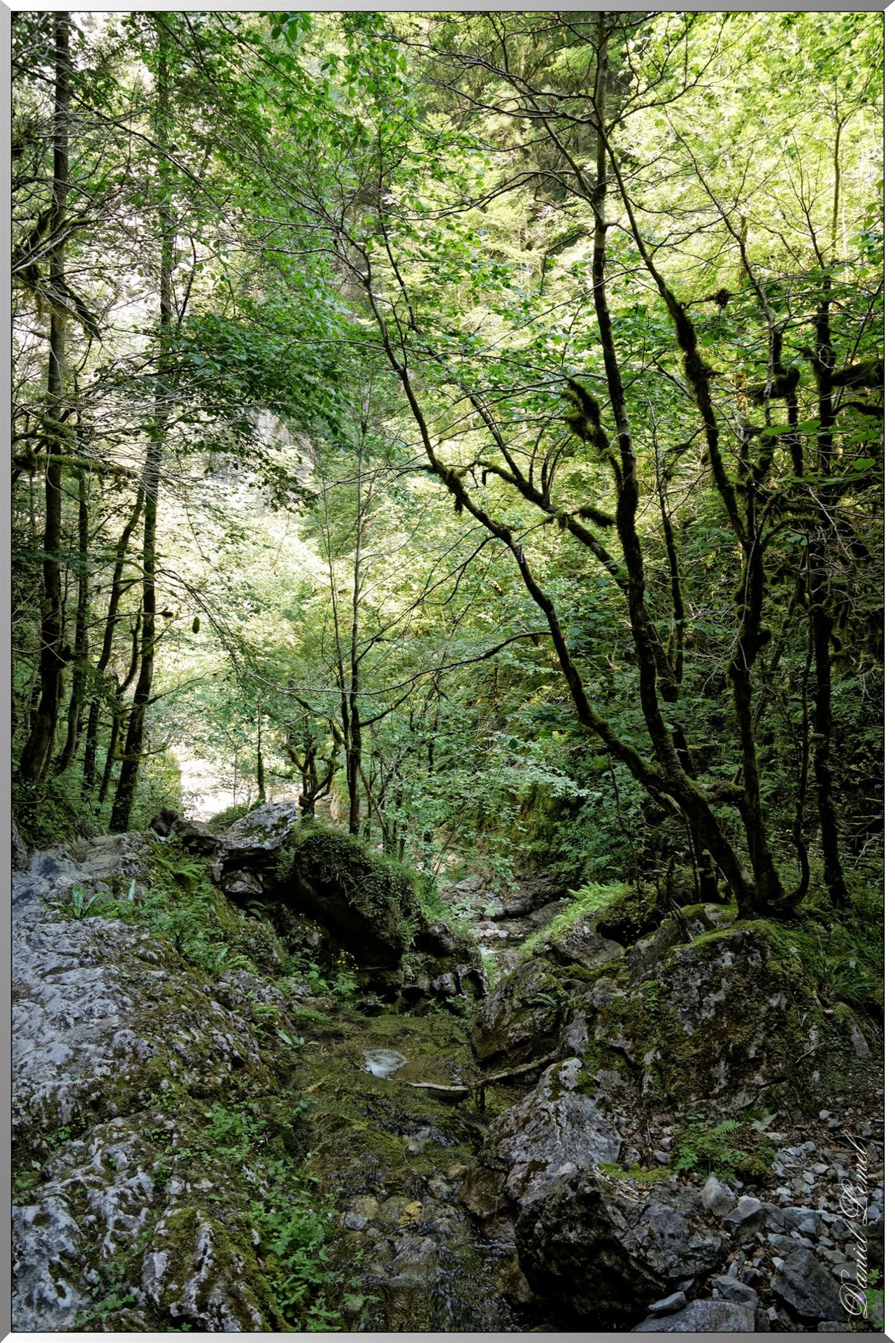 Arrivee vers la grotte