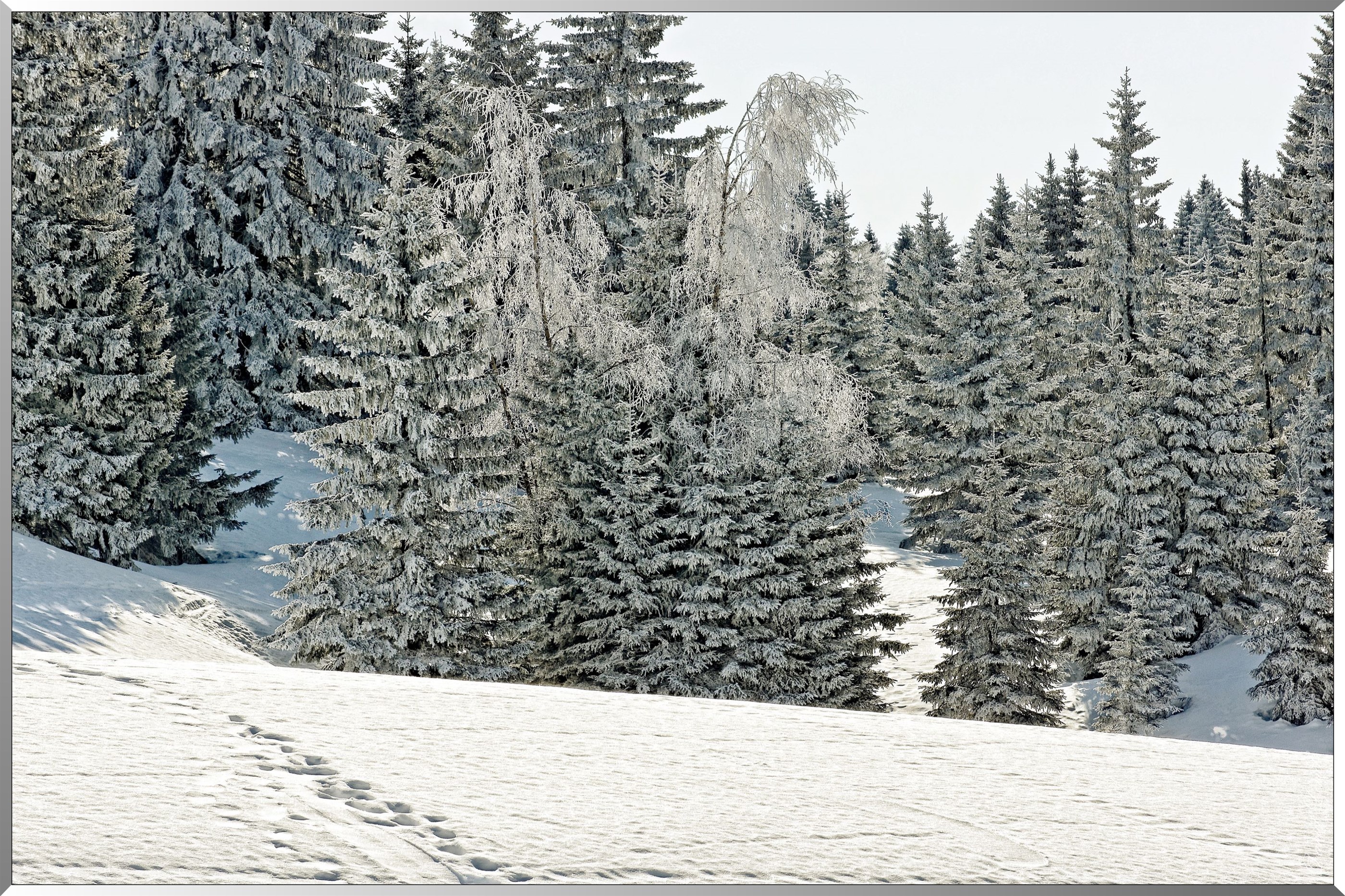 Les Monts-Jura