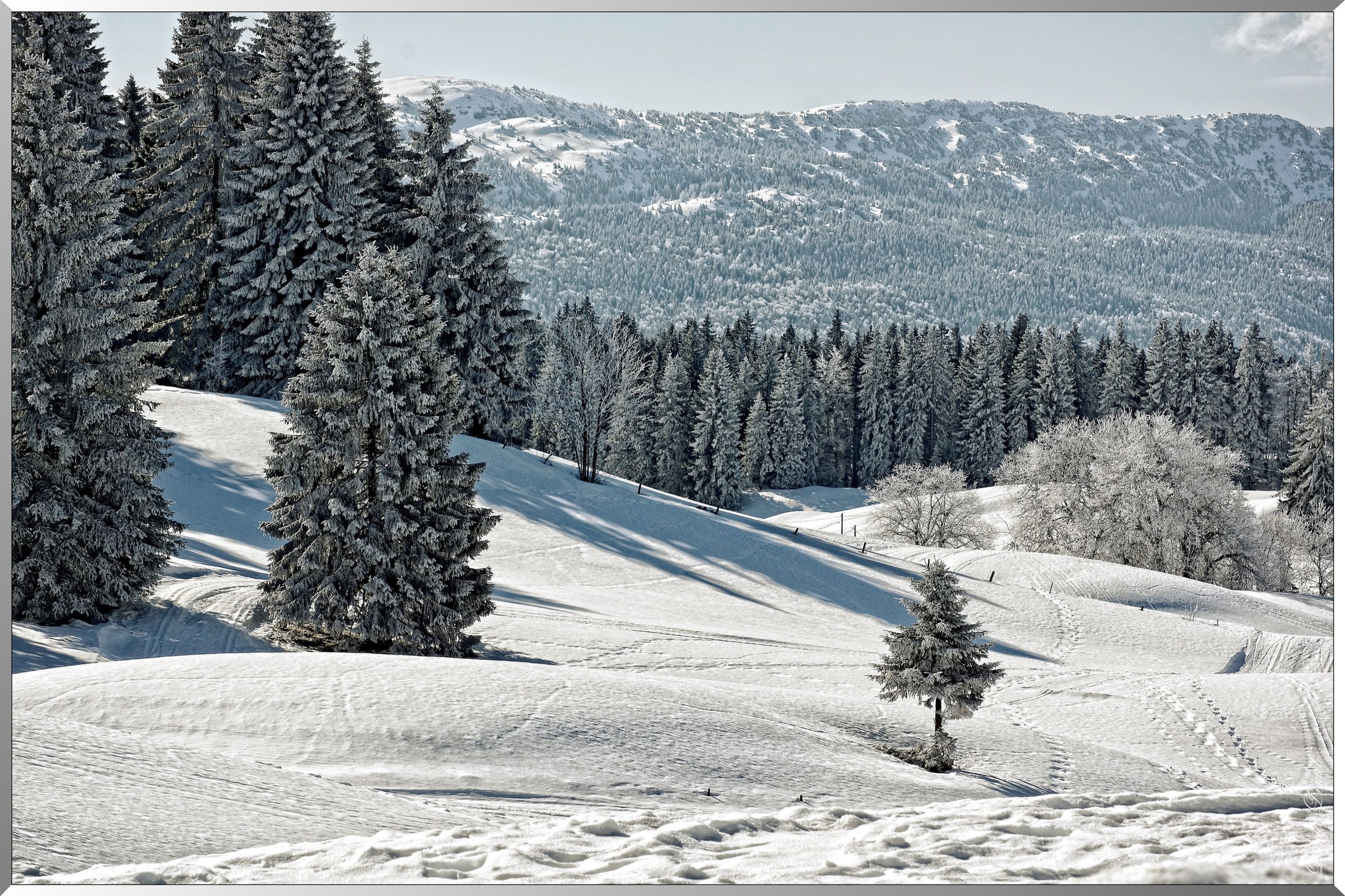 Les Monts-Jura
