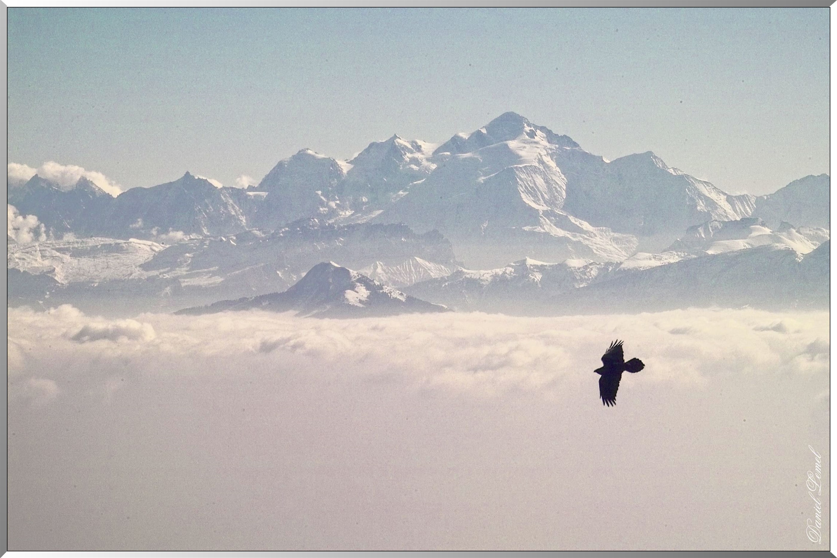 Mont-Blanc. Vue du Mont-Rond