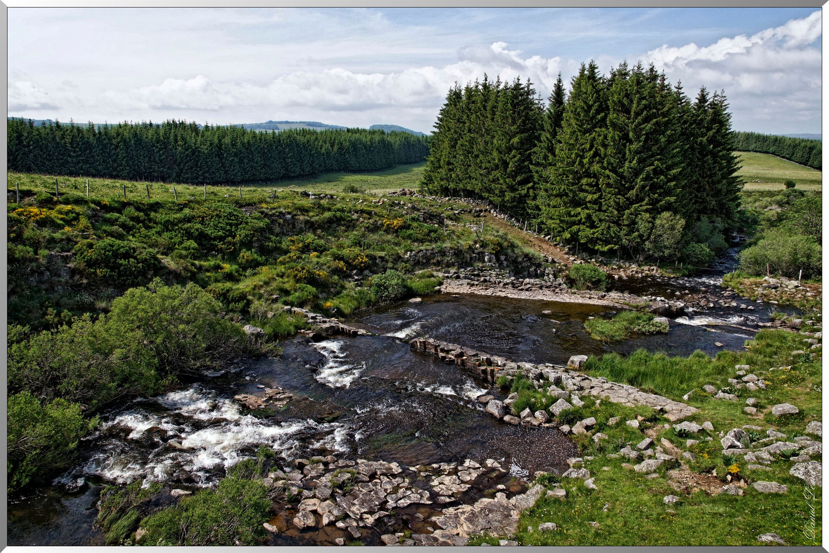 Paysage de l'Aubrac