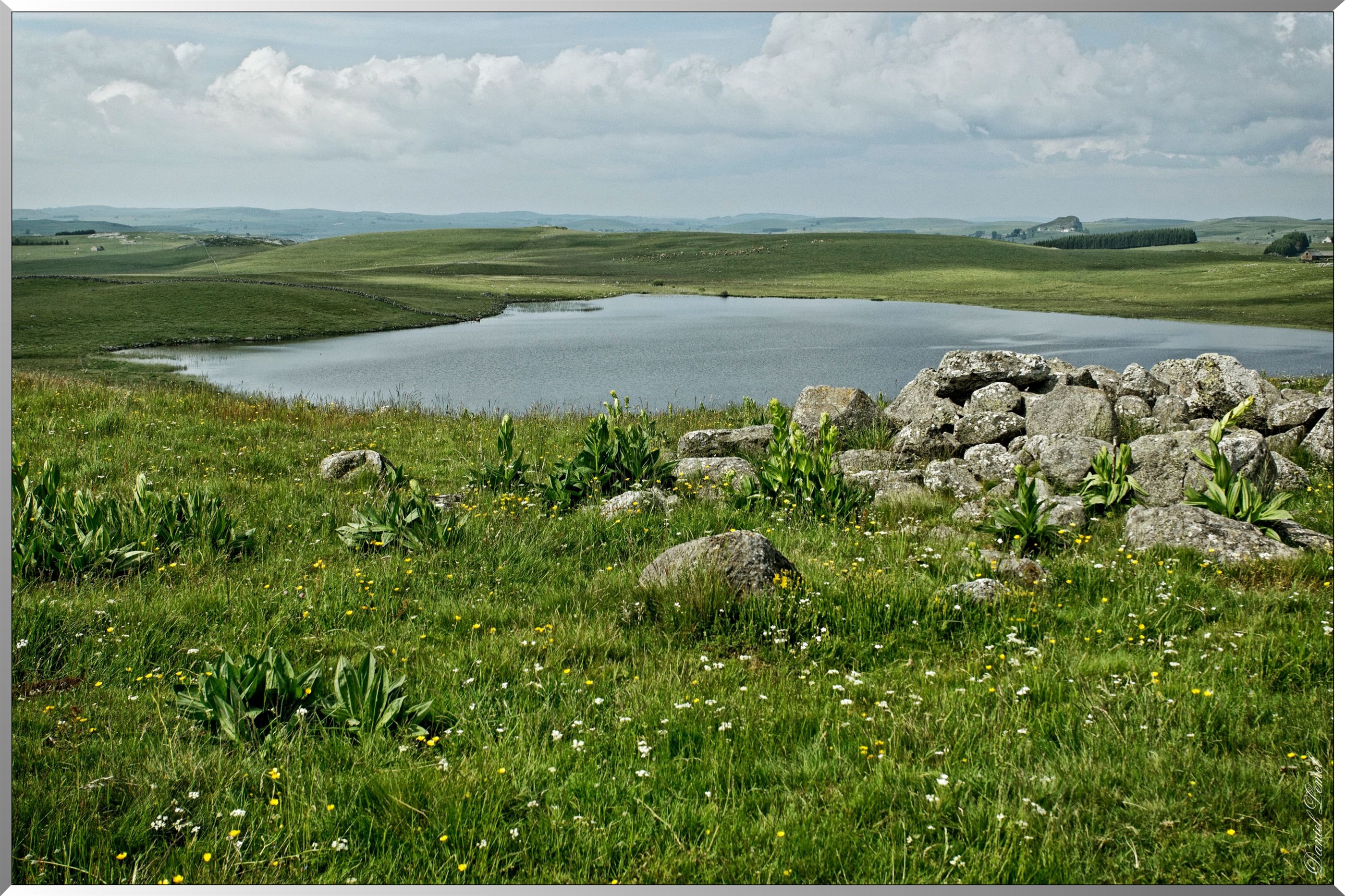 Paysage de l'Aubrac