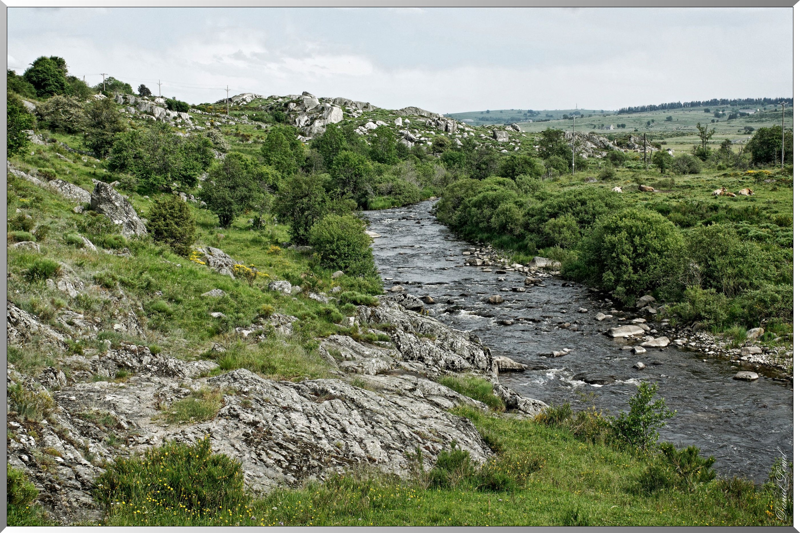 Paysage de l'Aubrac