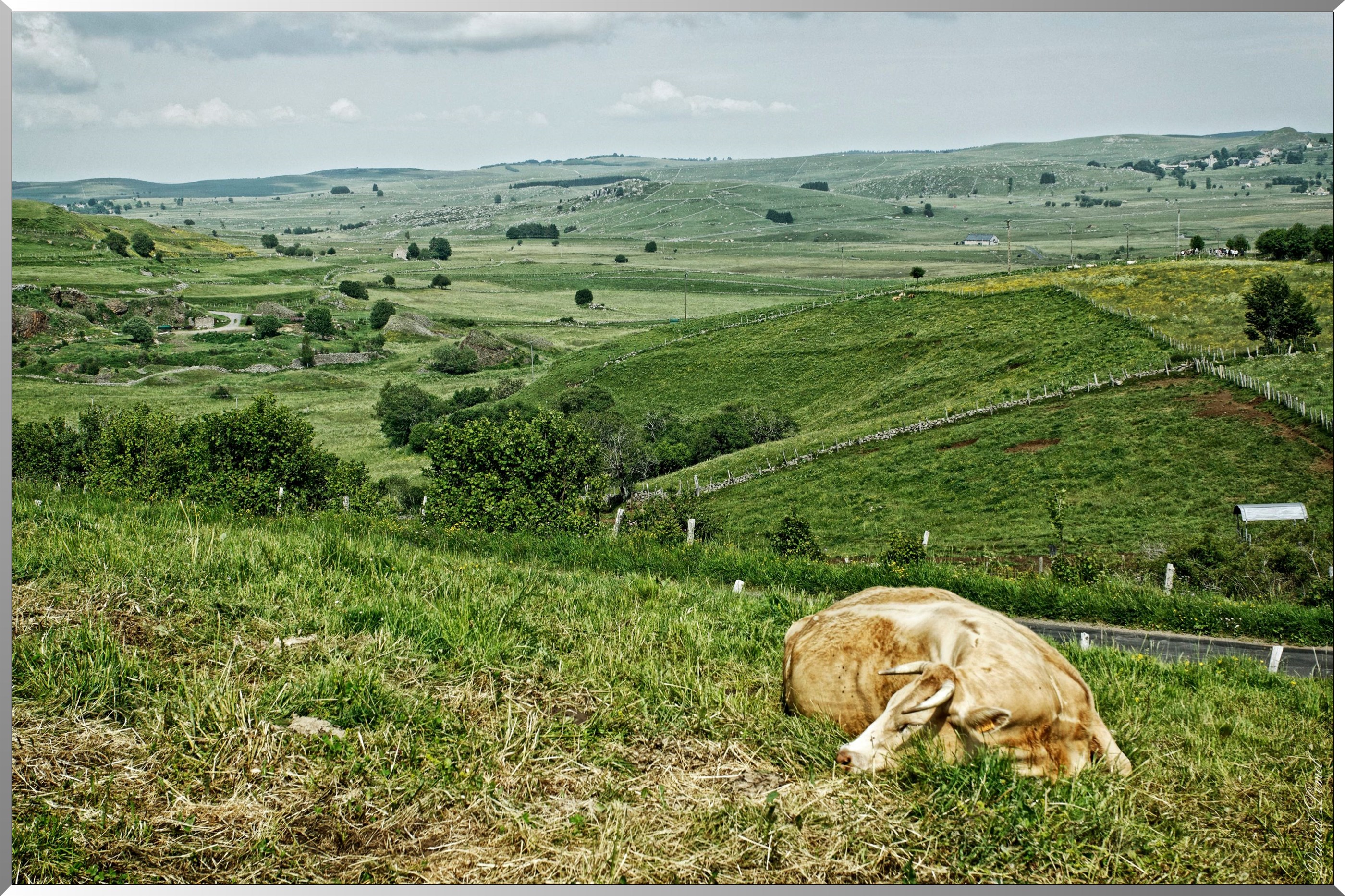 Paysage de l'Aubrac