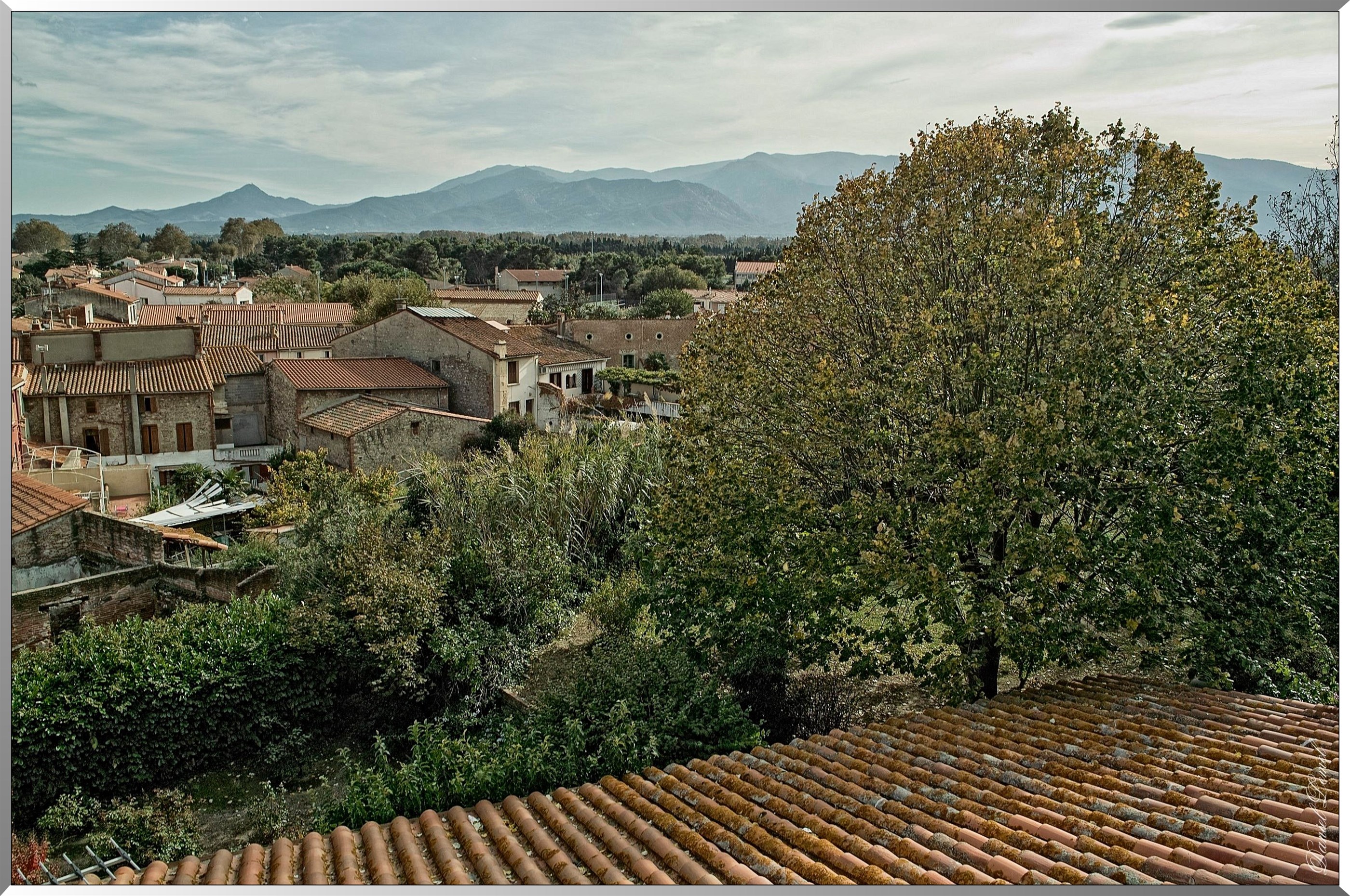 Vue sur les Pyrénées
