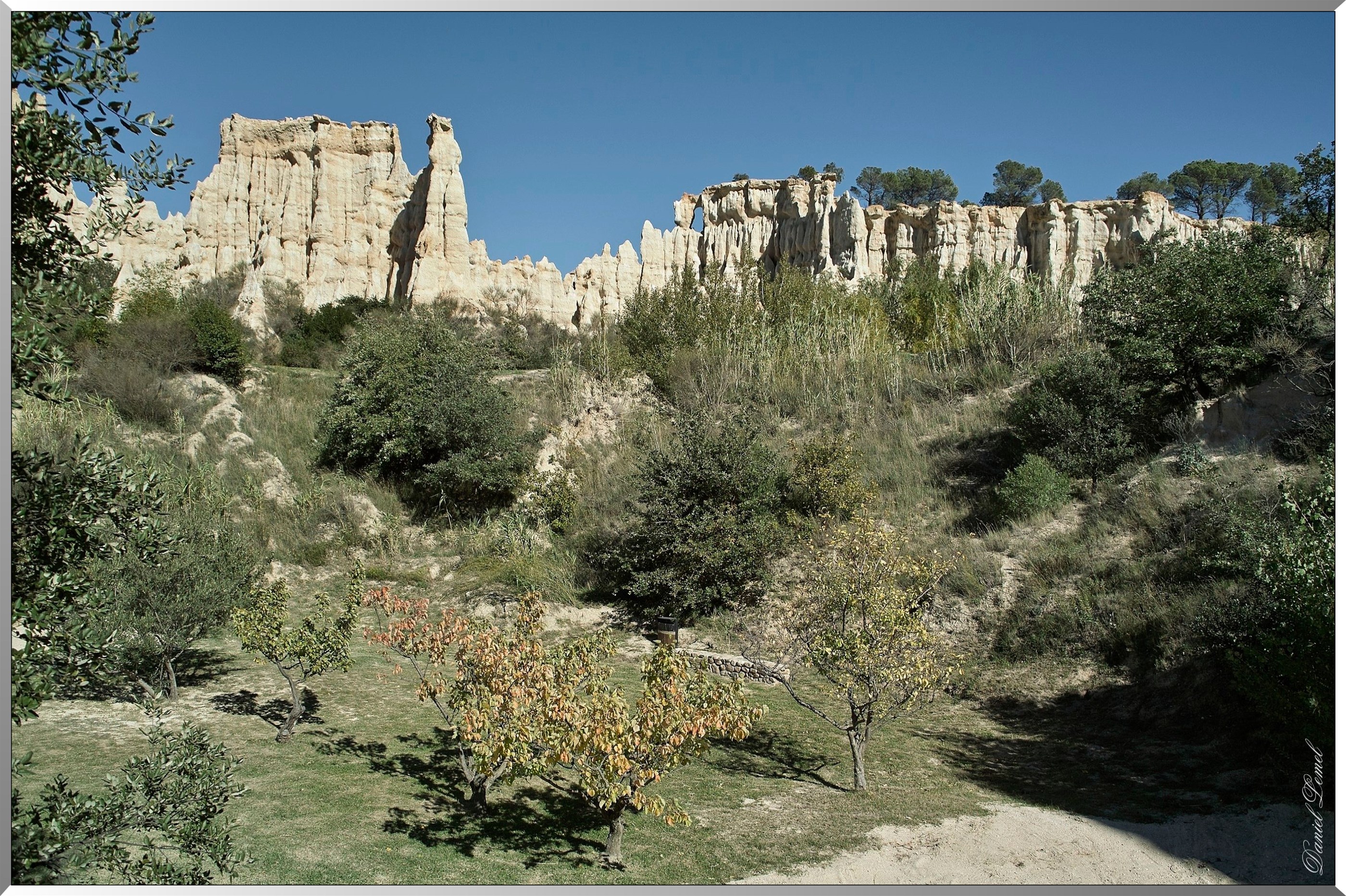 Les orgues
