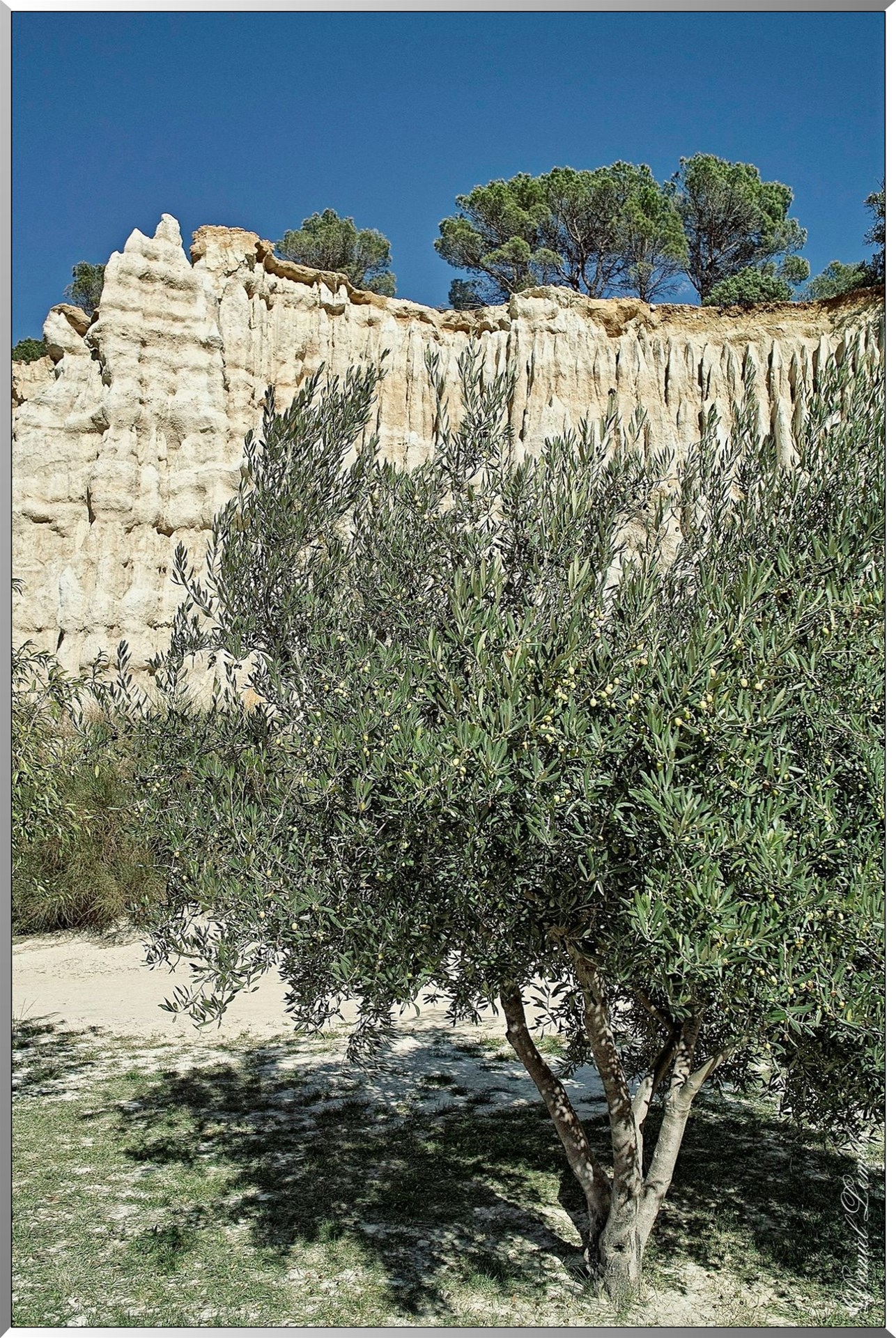 Les orgues