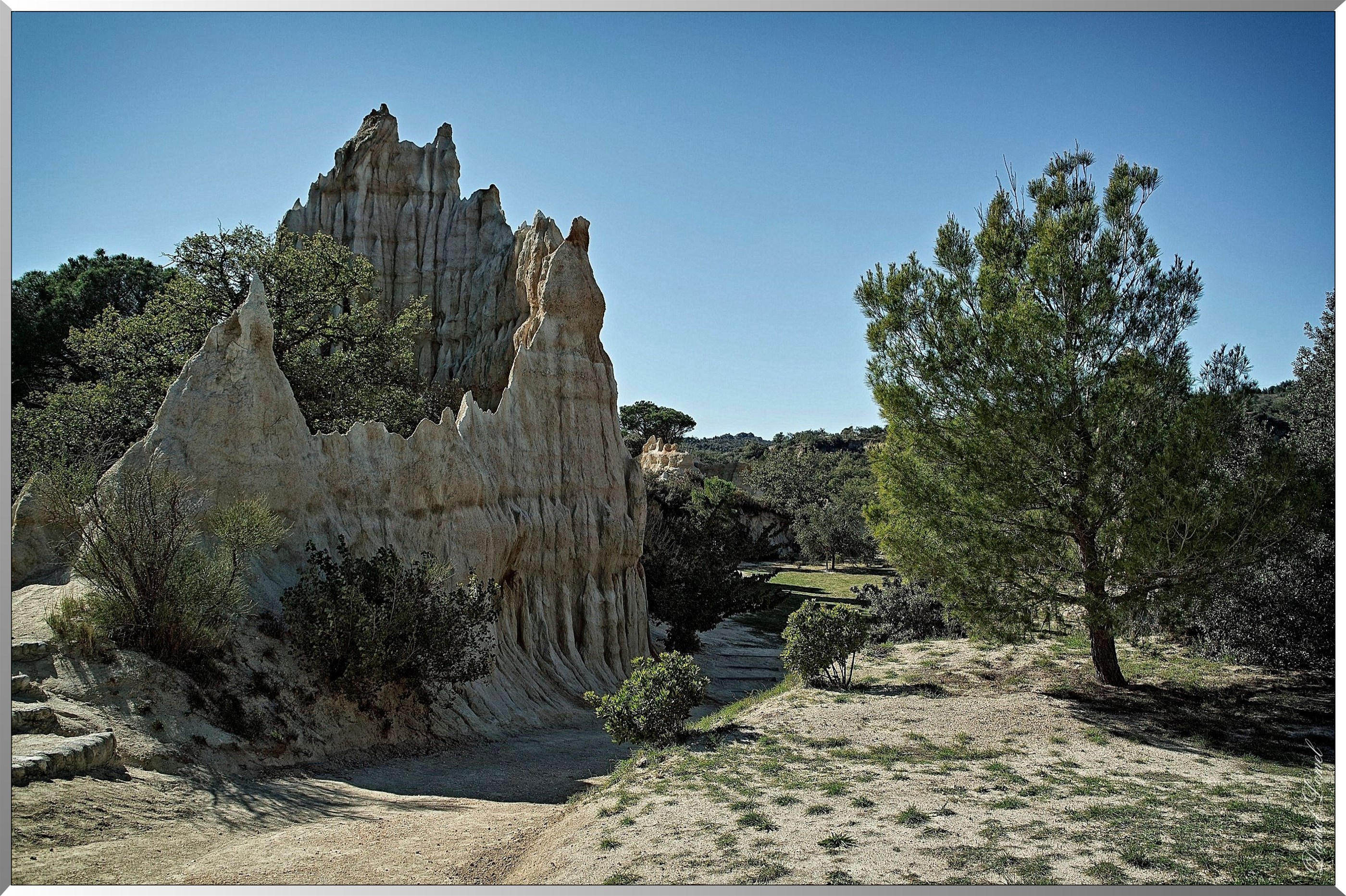 Les orgues
