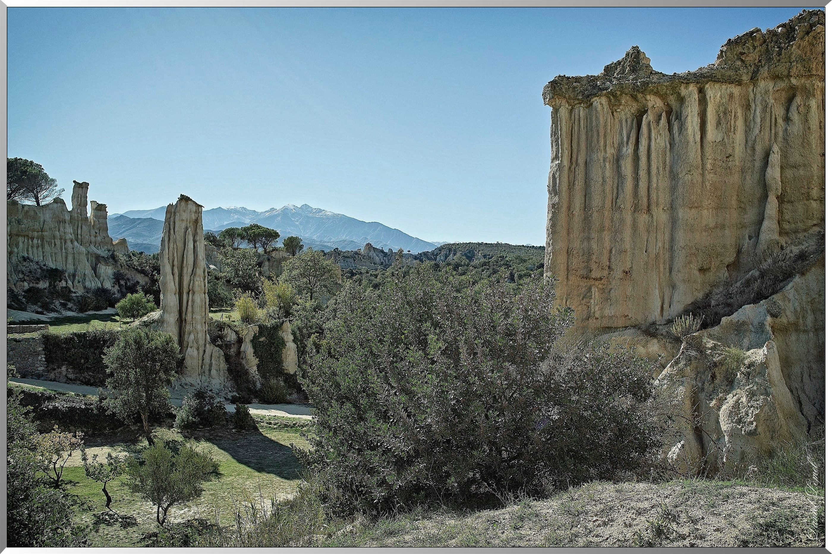 Les orgues