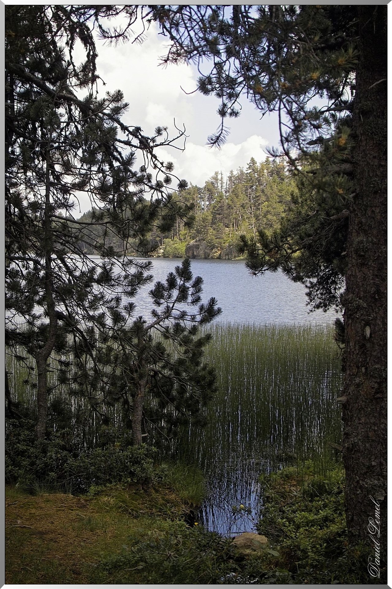 IMG00900