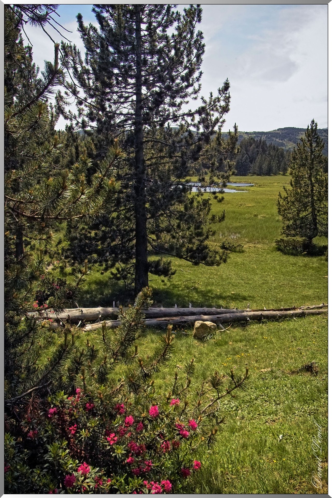 IMG09912