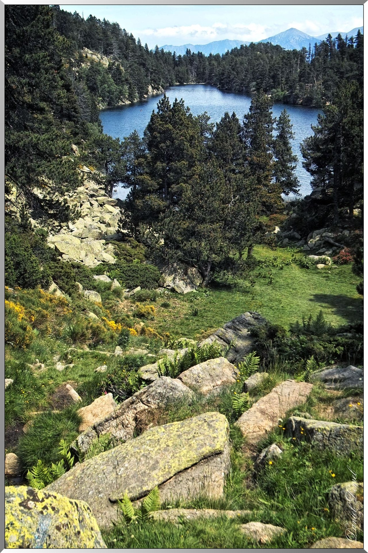 IMG09916
