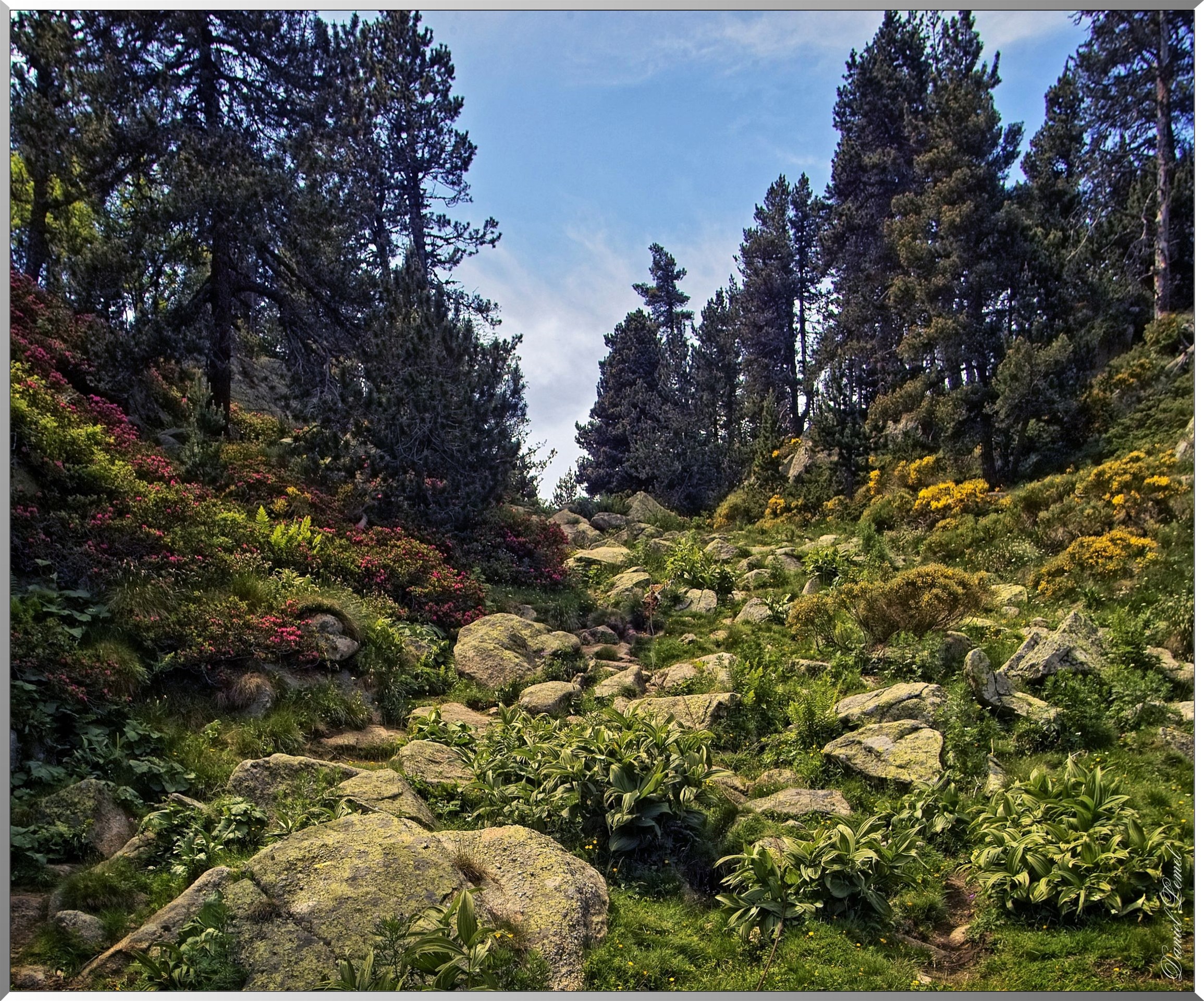 IMG09921