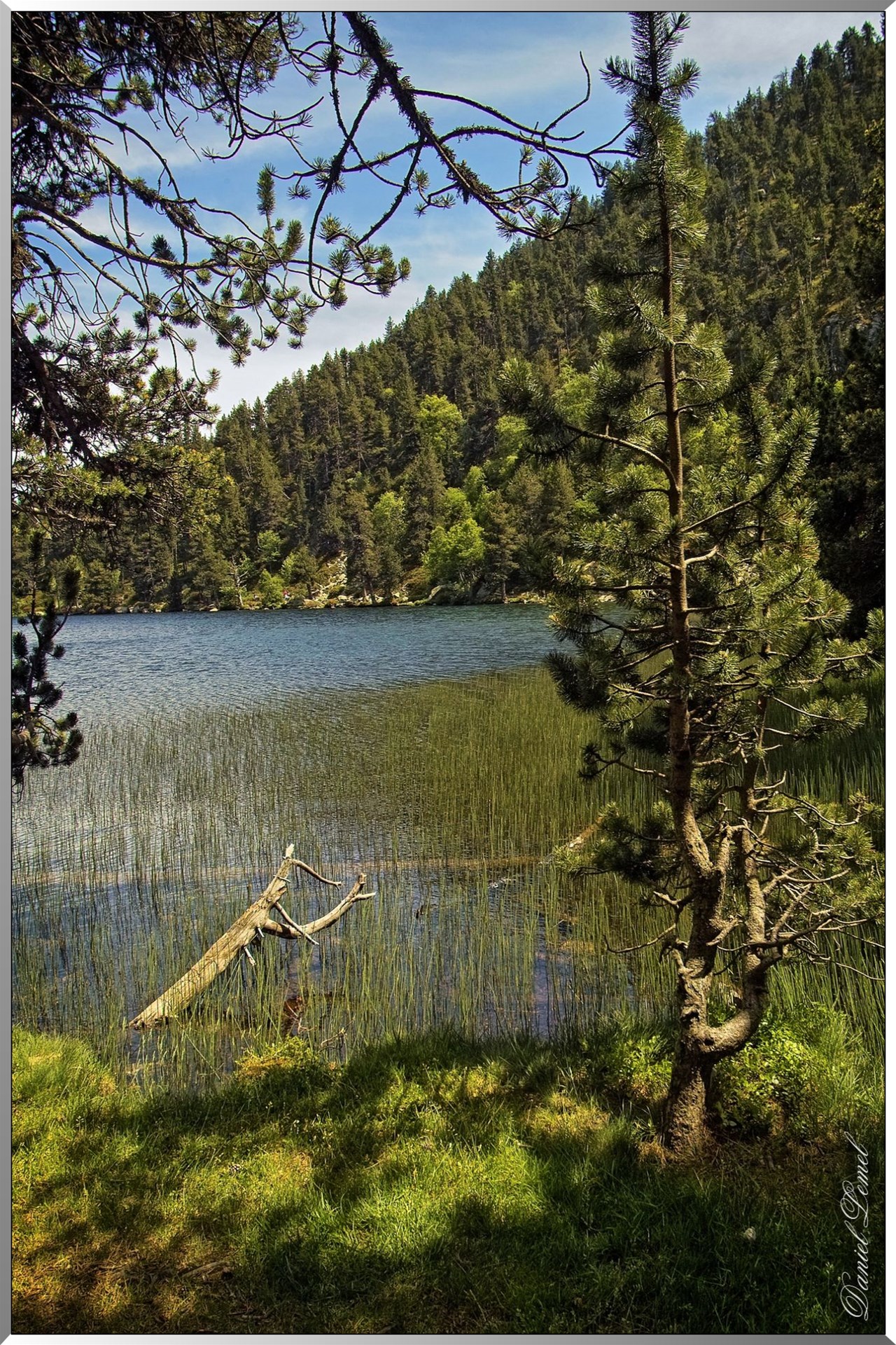 IMG09923