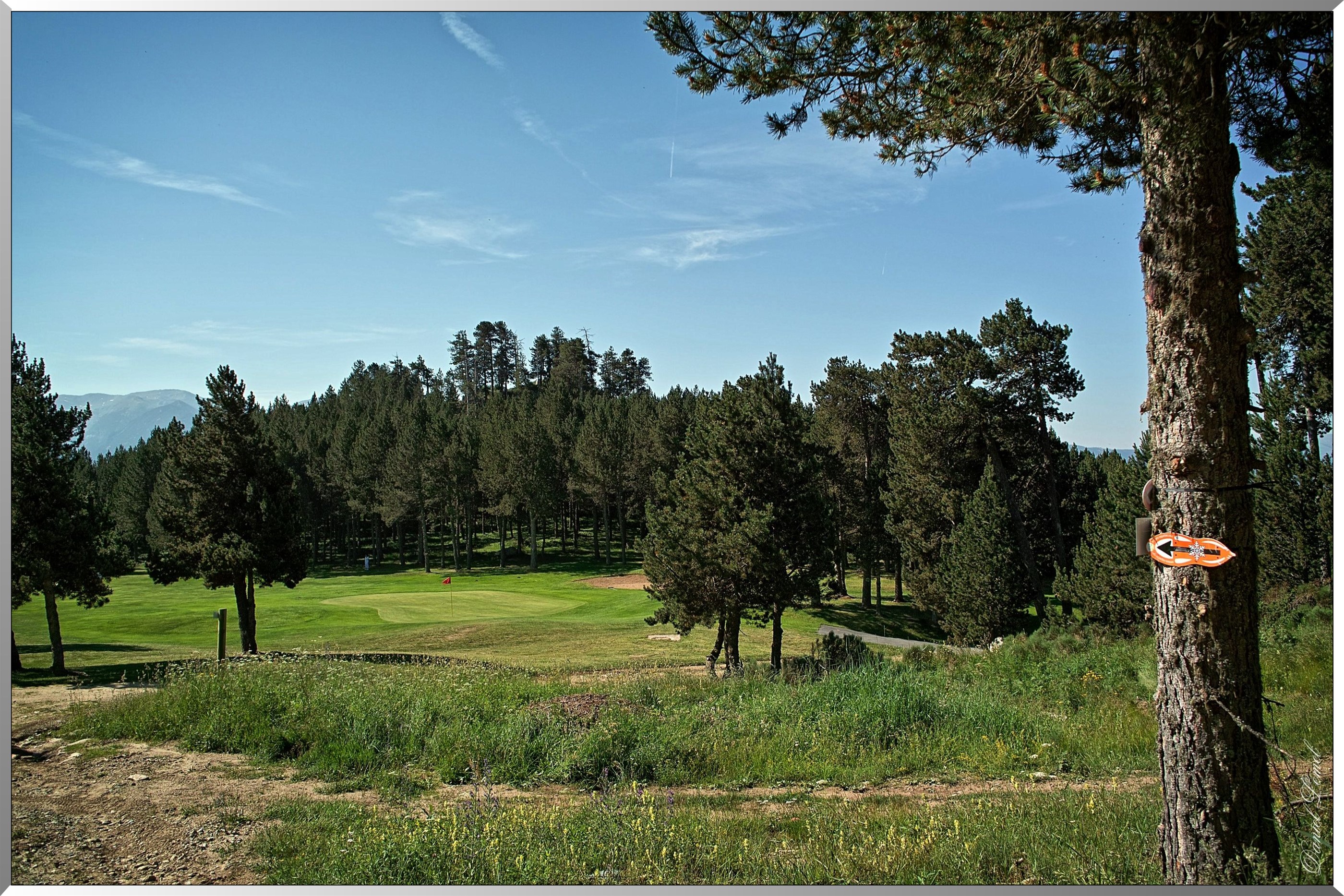 Golf - Forêt communale de Font-Romeu