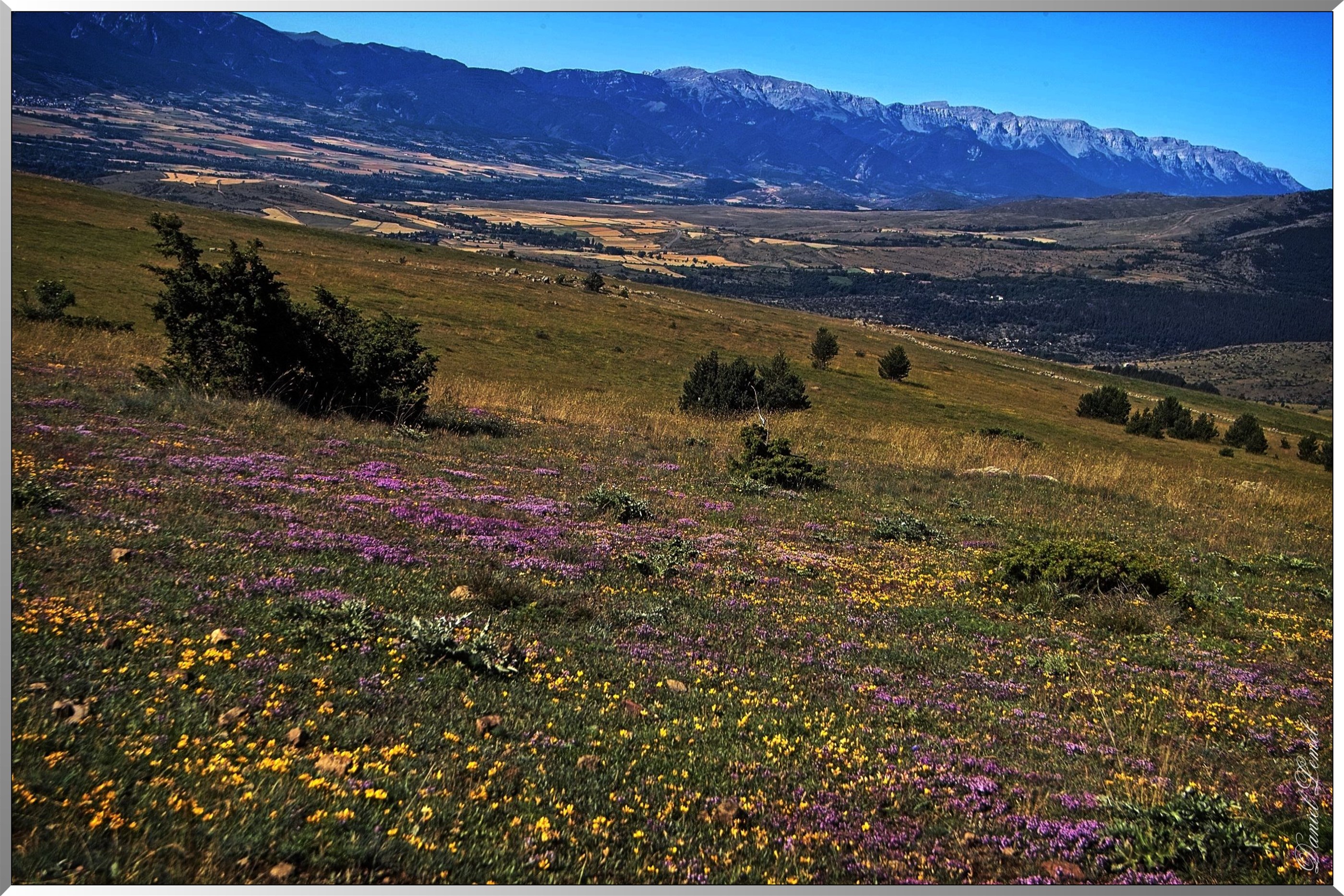 La Sierra del Cadi - vue de la Cerdagne