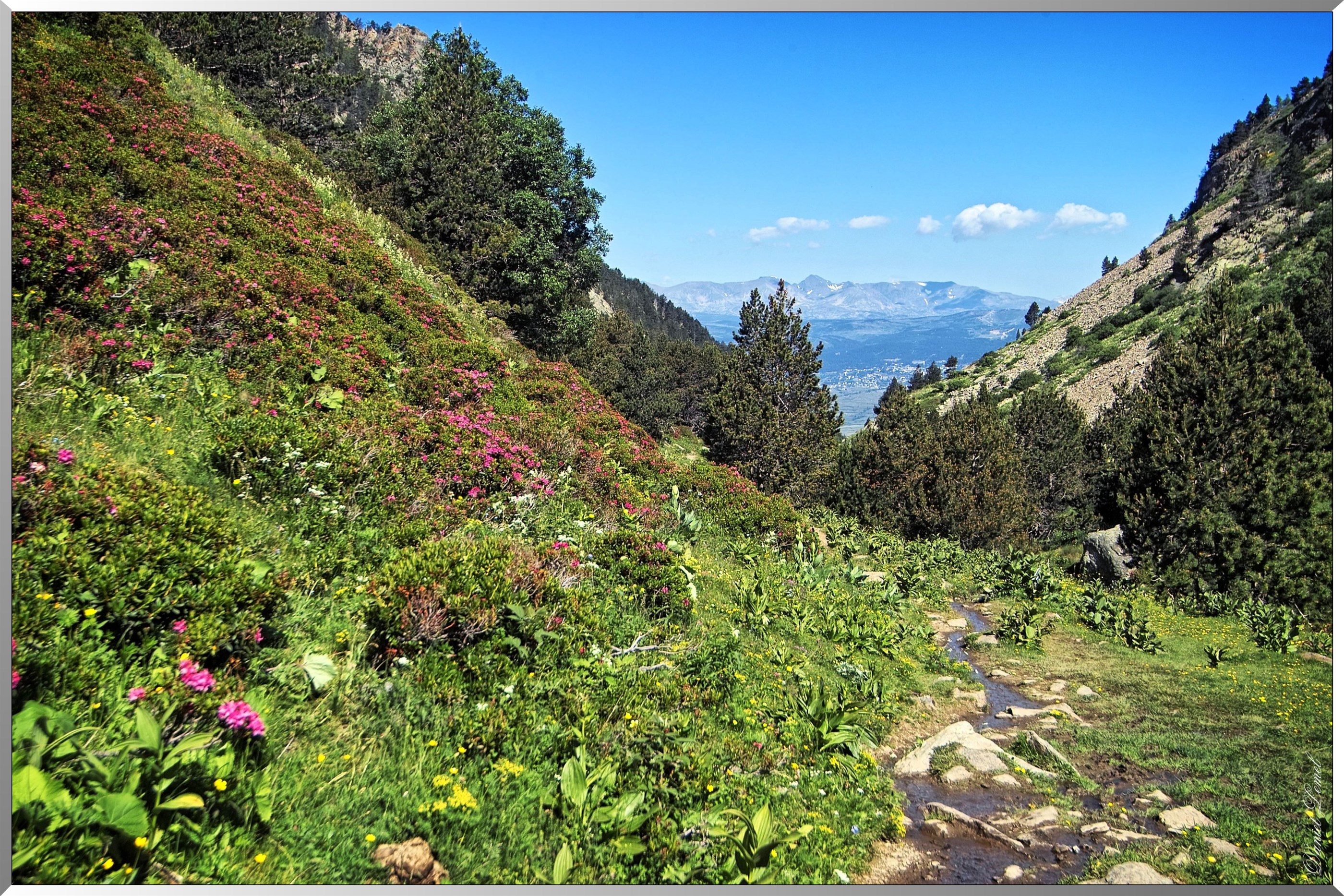 Réserve Naturelle de vallée d’Eyne - Vue sur la Cerdagne