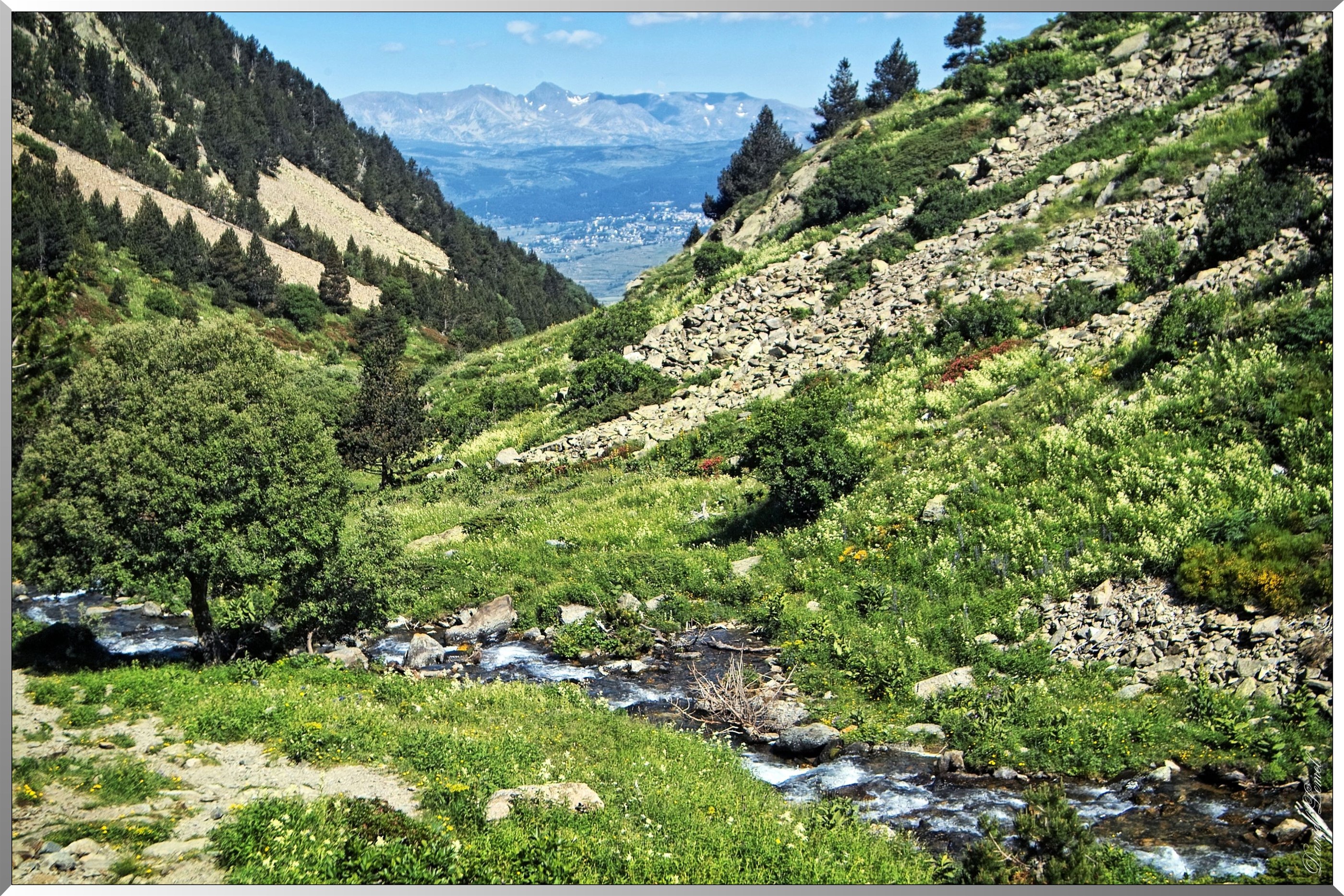 Réserve Naturelle de vallée d’Eyne -Torrent et éboulies