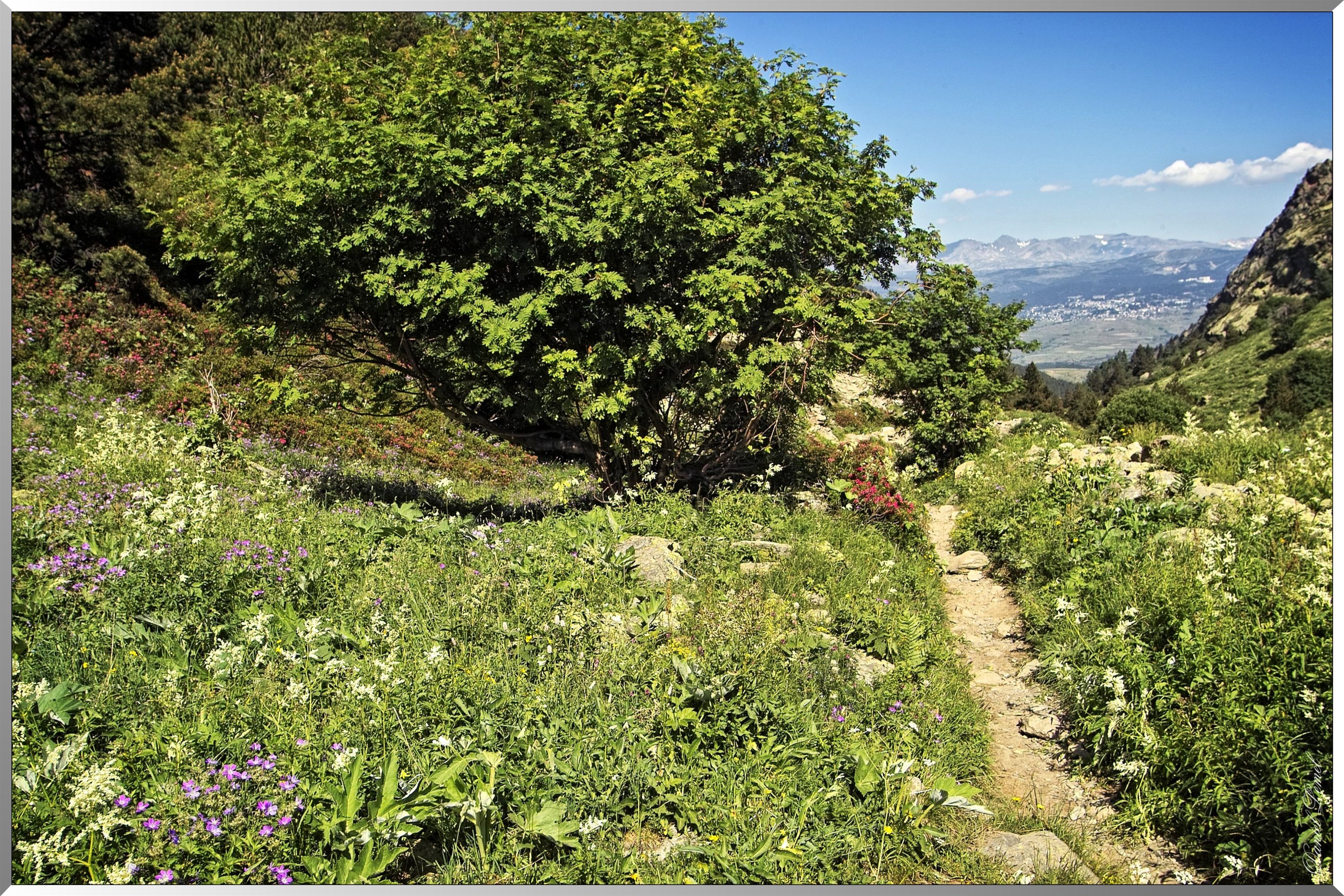 Réserve Naturelle de vallée d’Eyne - Passage - vue de la Cerdagne