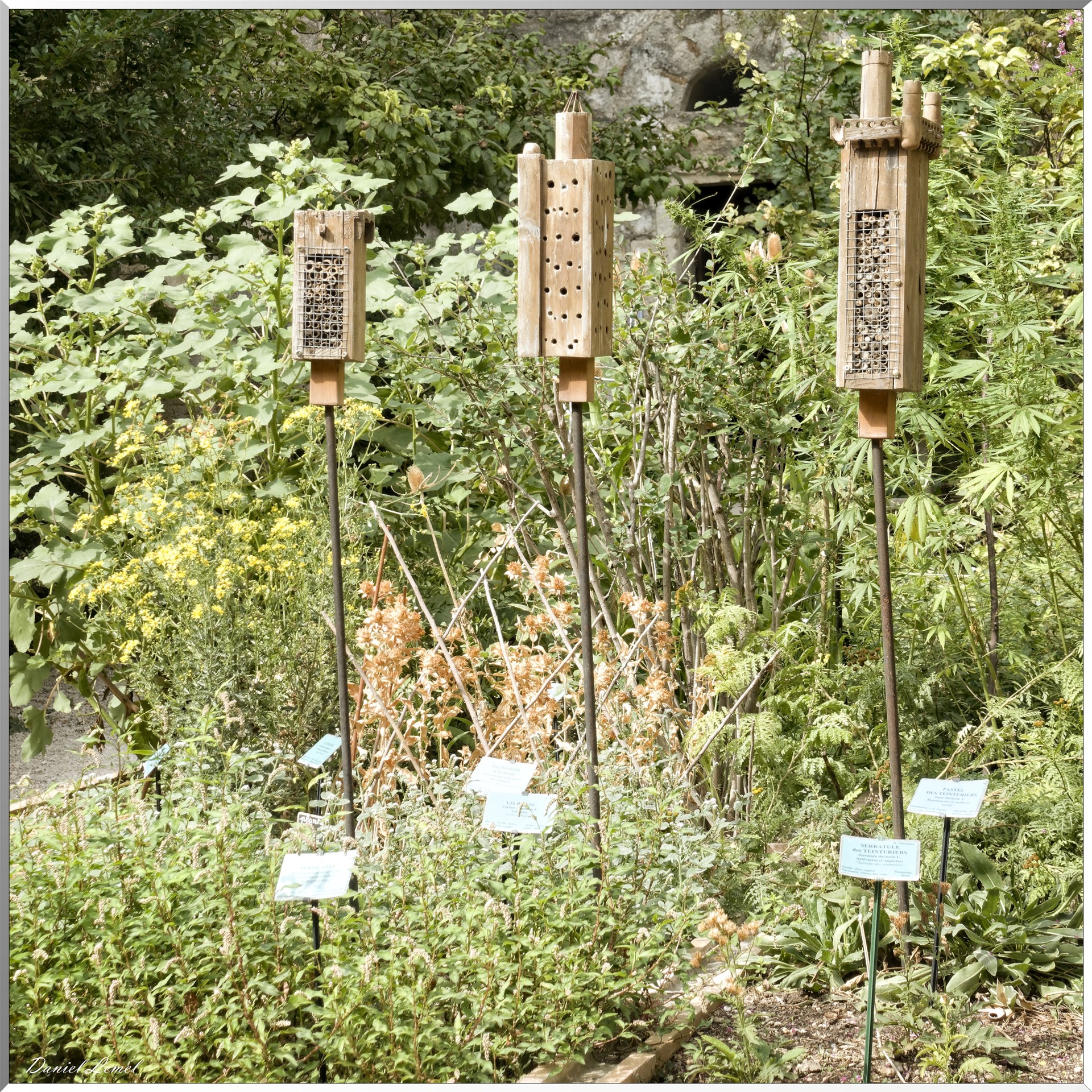 Le Jardin Médiéval - Hôtels à insectes