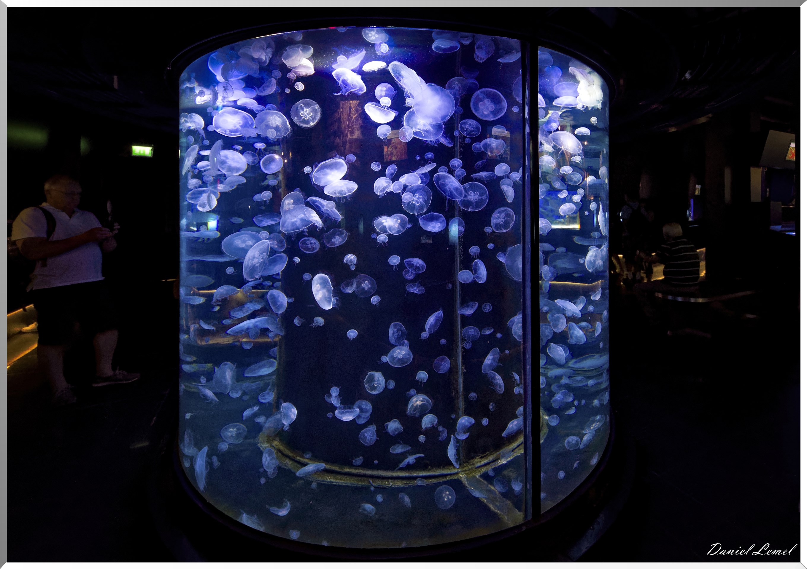 Aquarium