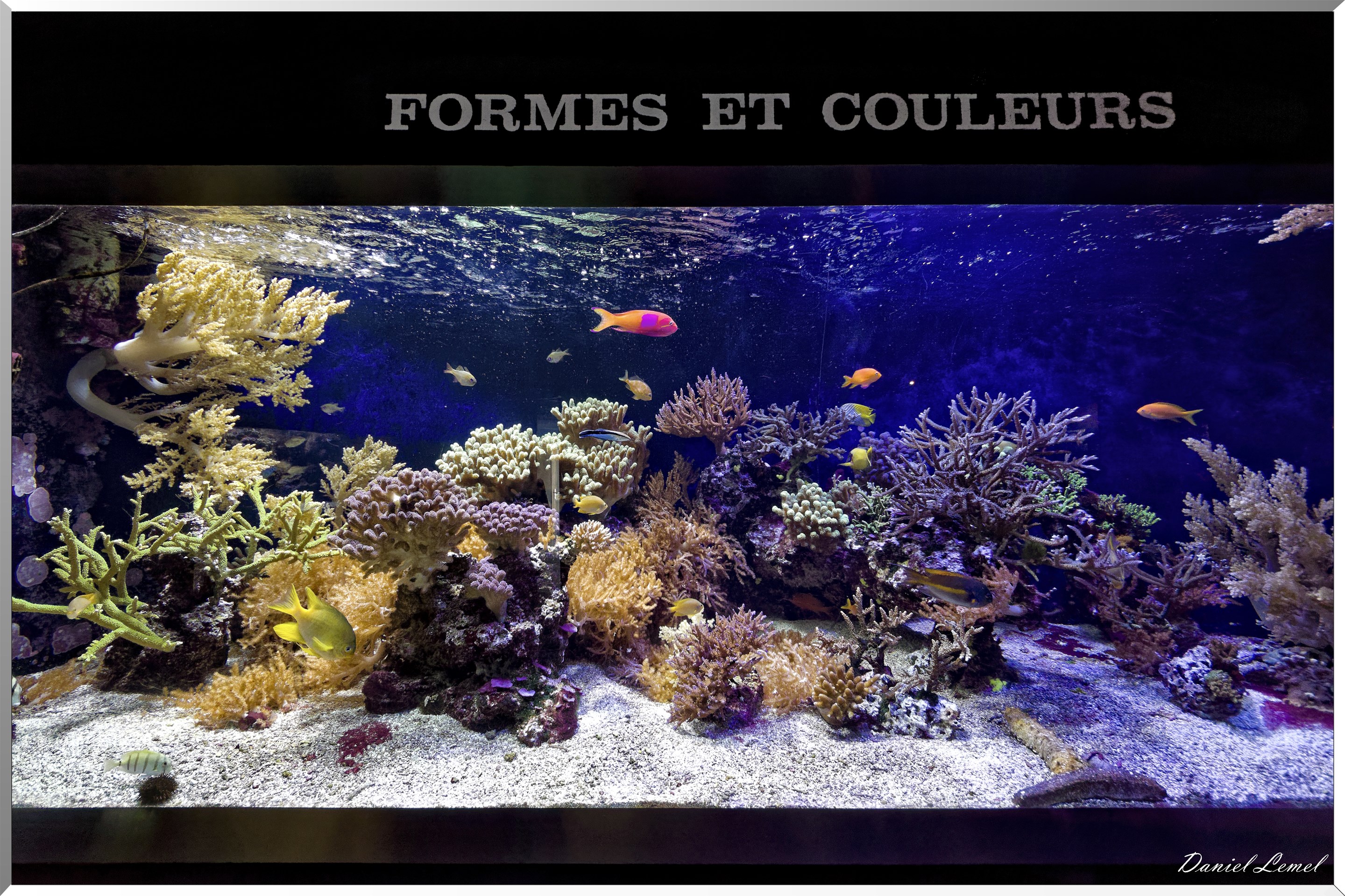 Aquarium