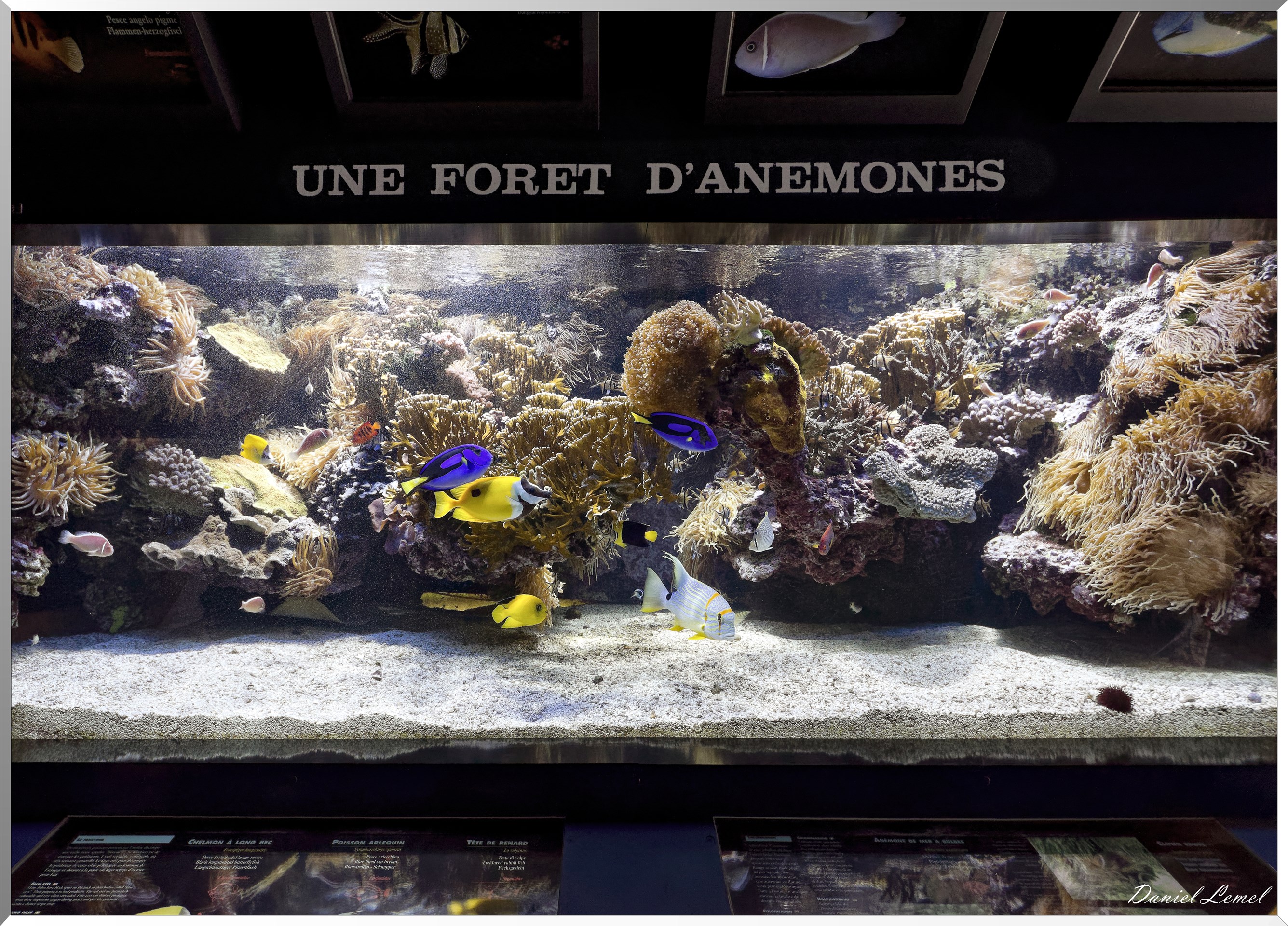 Aquarium