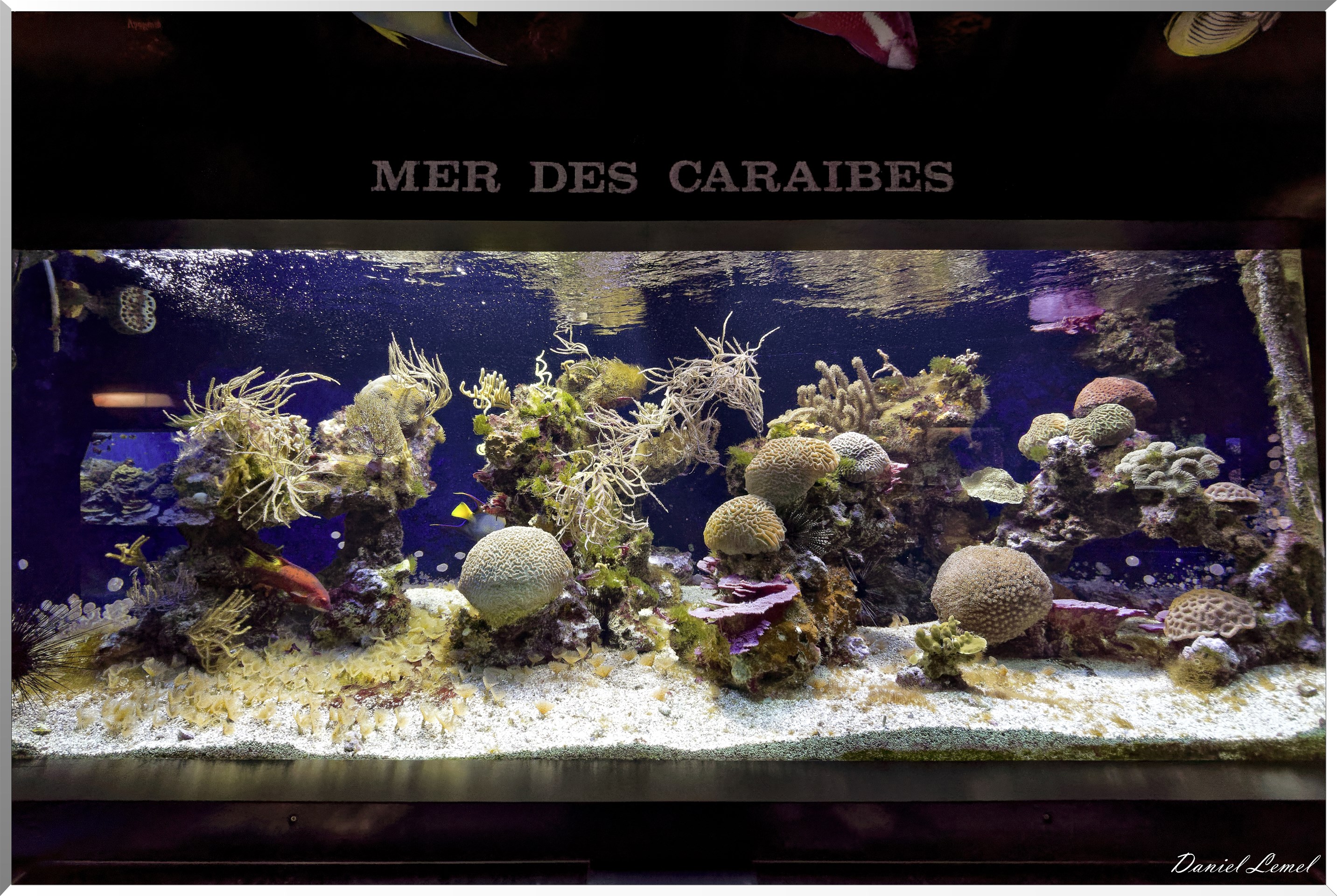 Aquarium