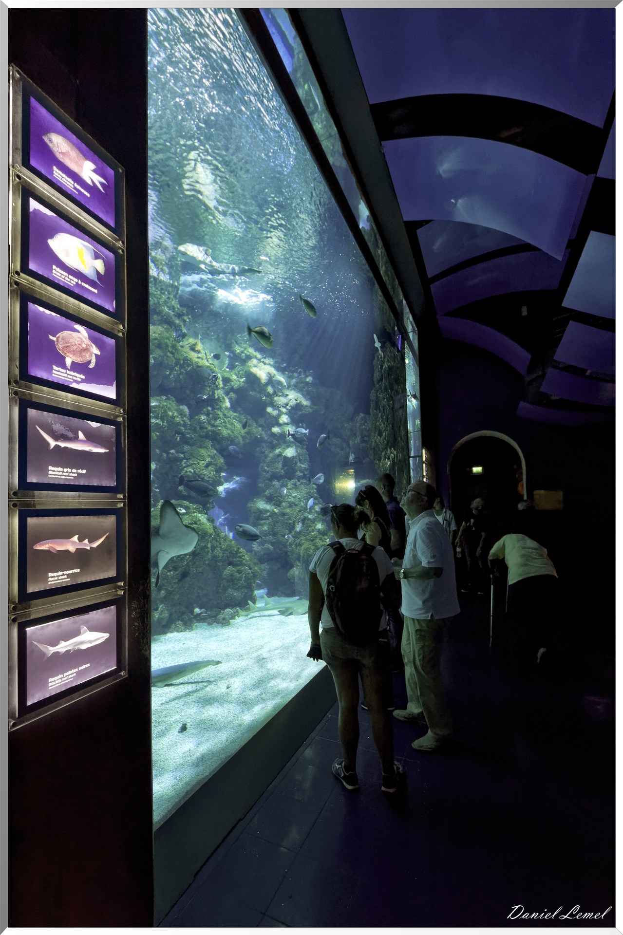 Aquarium