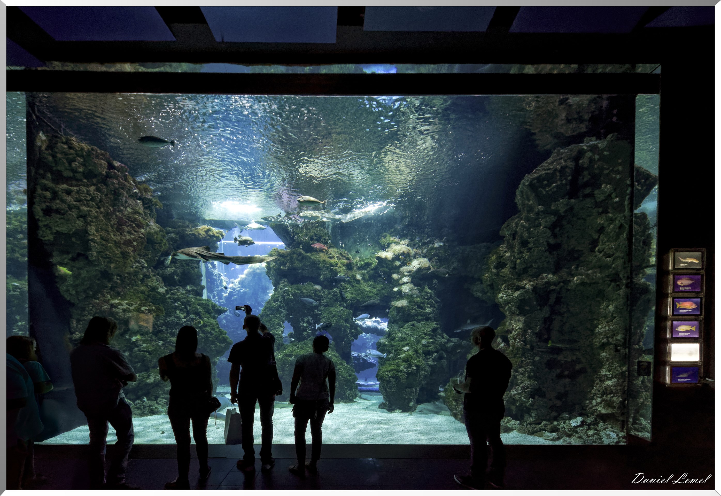 Aquarium