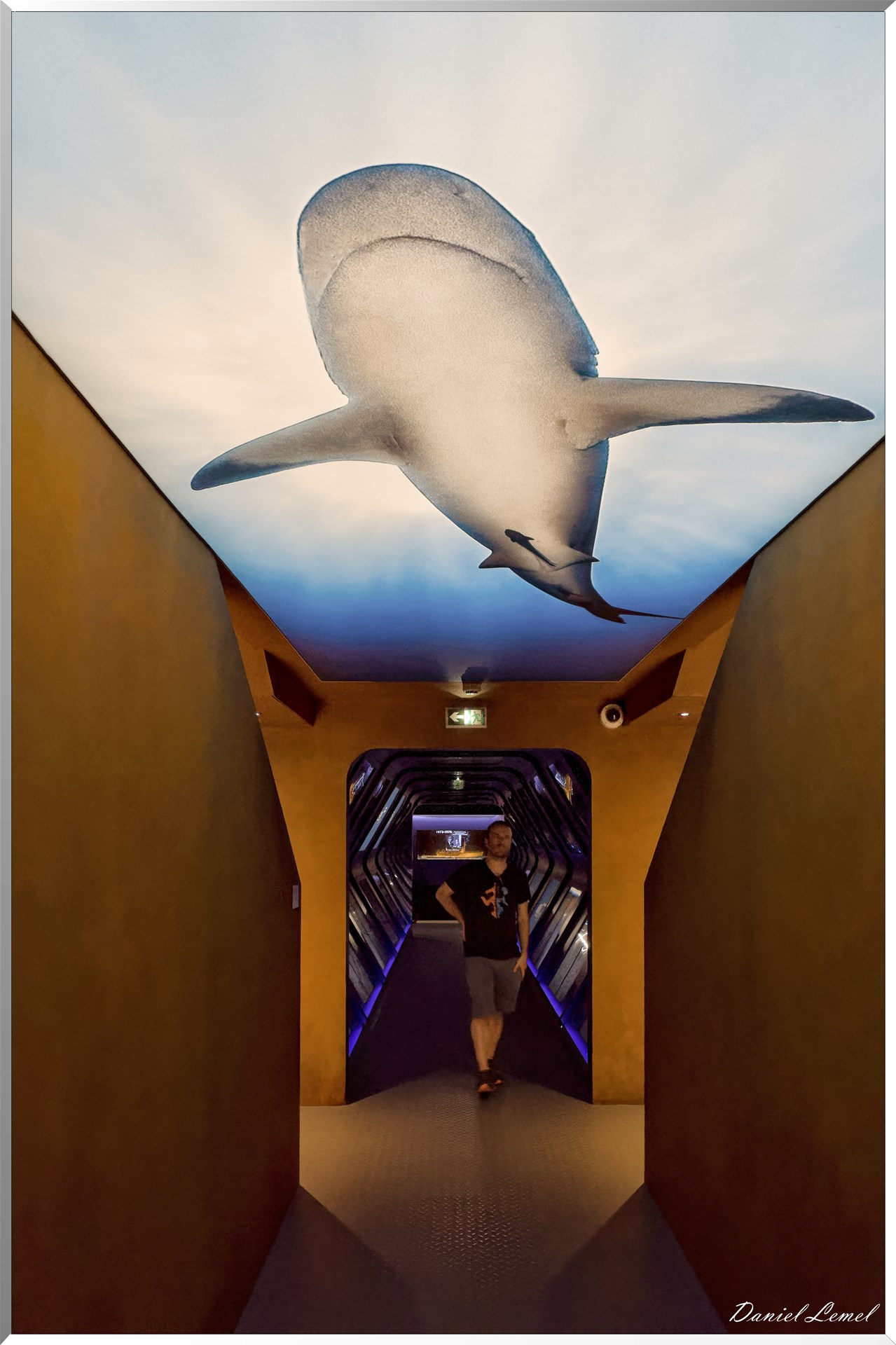 Salle du navire scénique