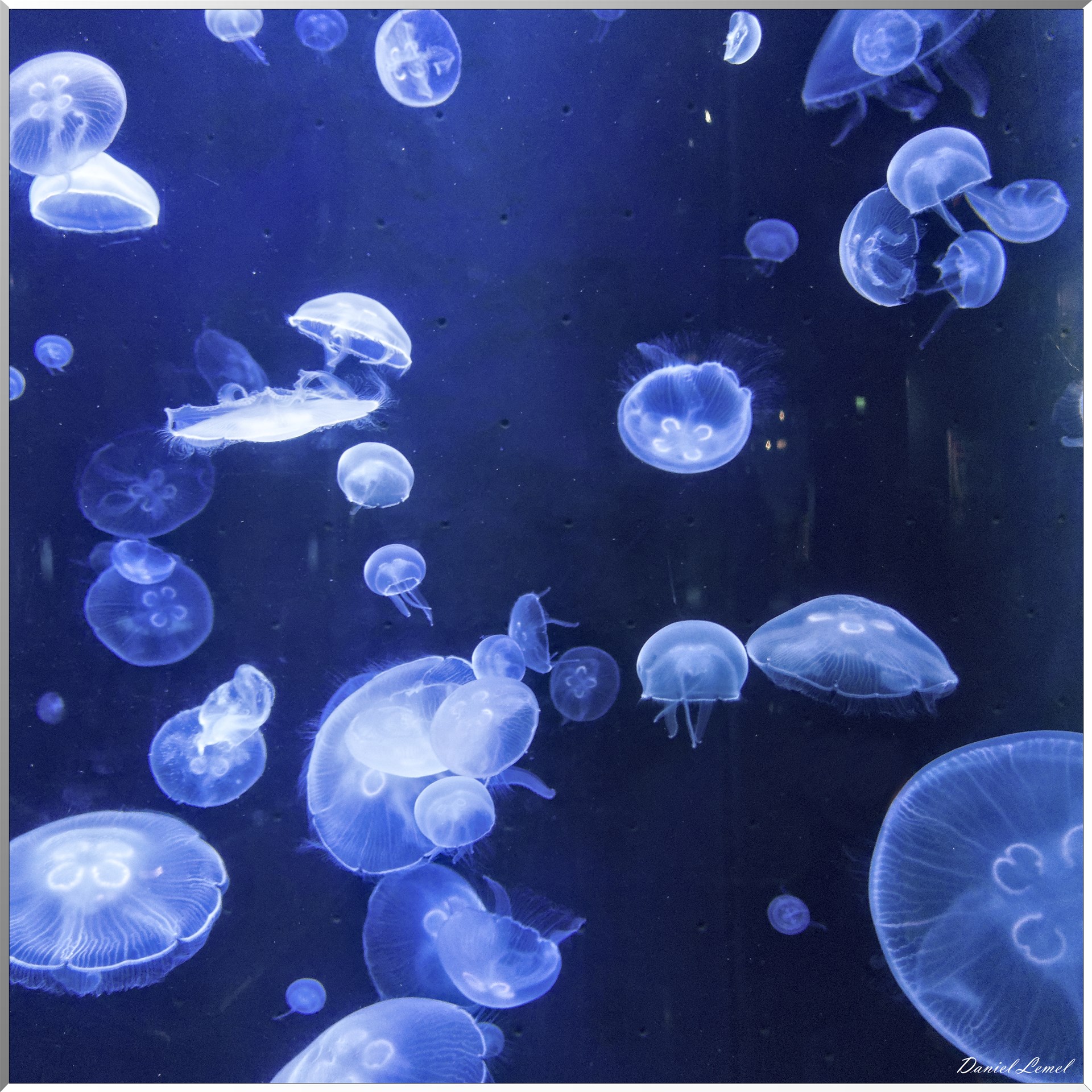 Aquarium