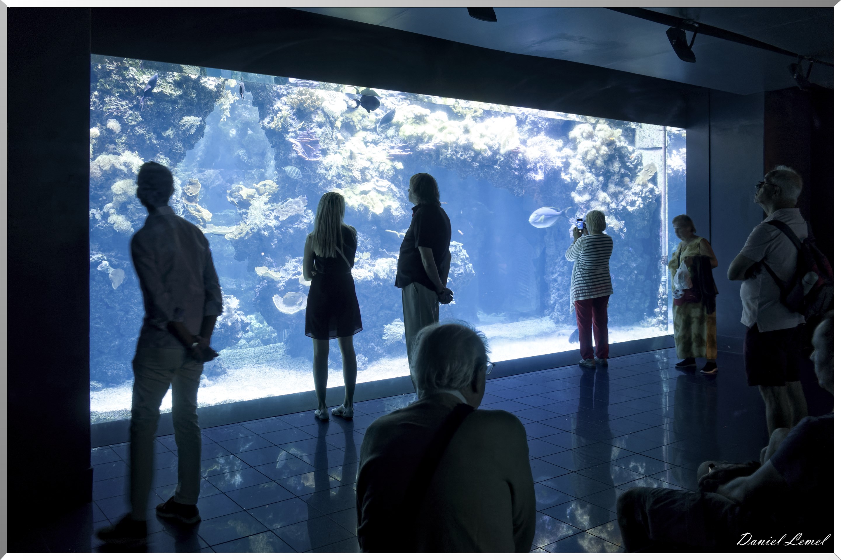 Aquarium