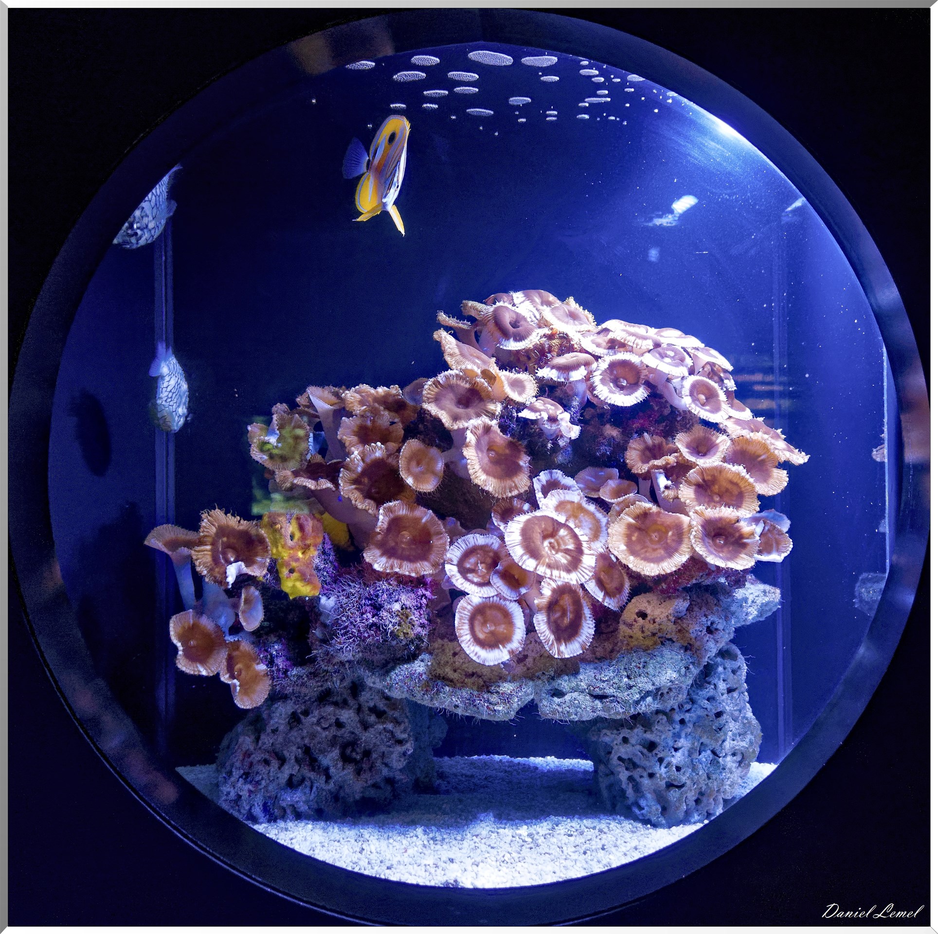 Aquarium