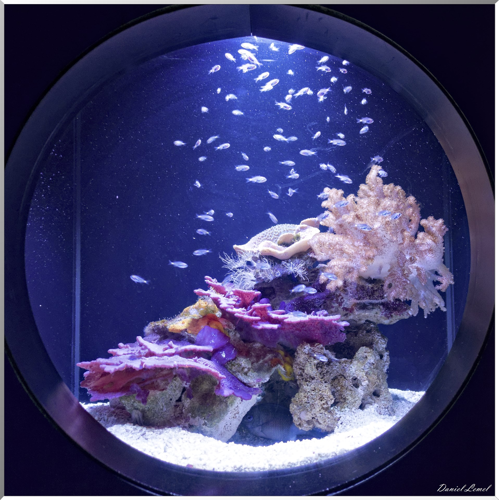 Aquarium
