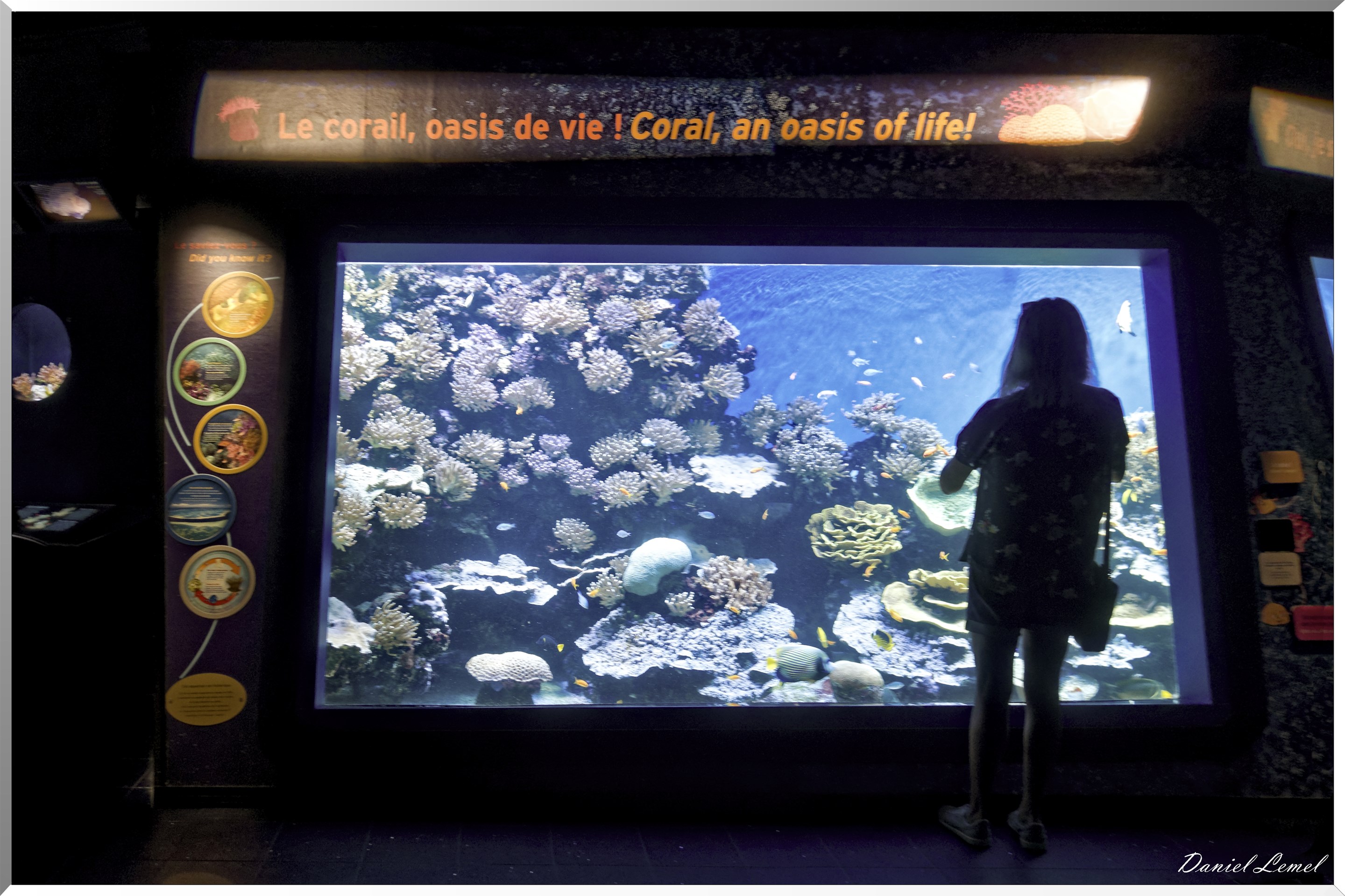 Aquarium