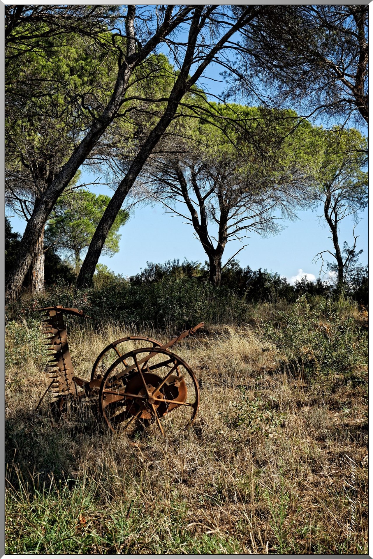 Machine agricole