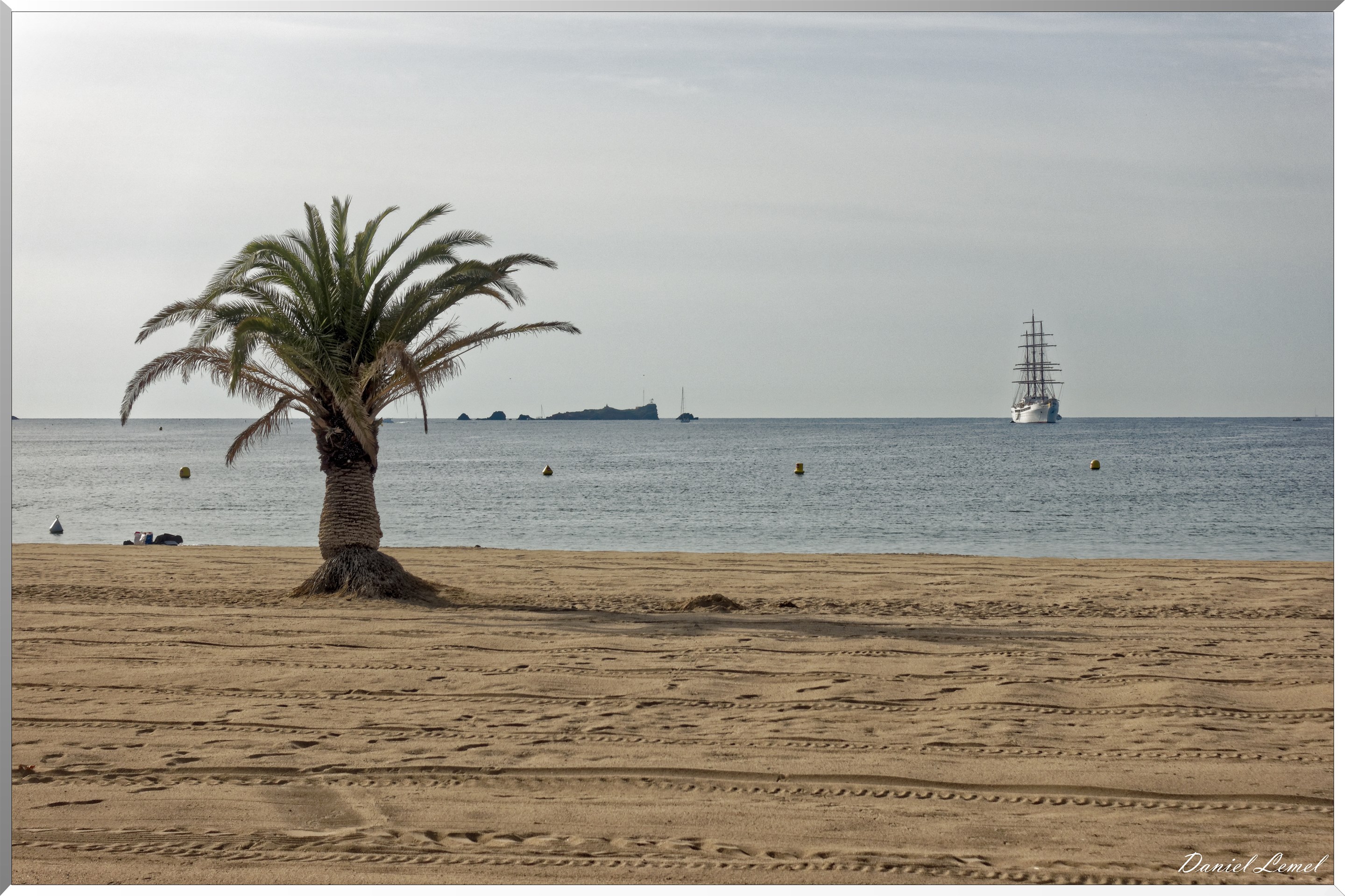 Palmier et voilier