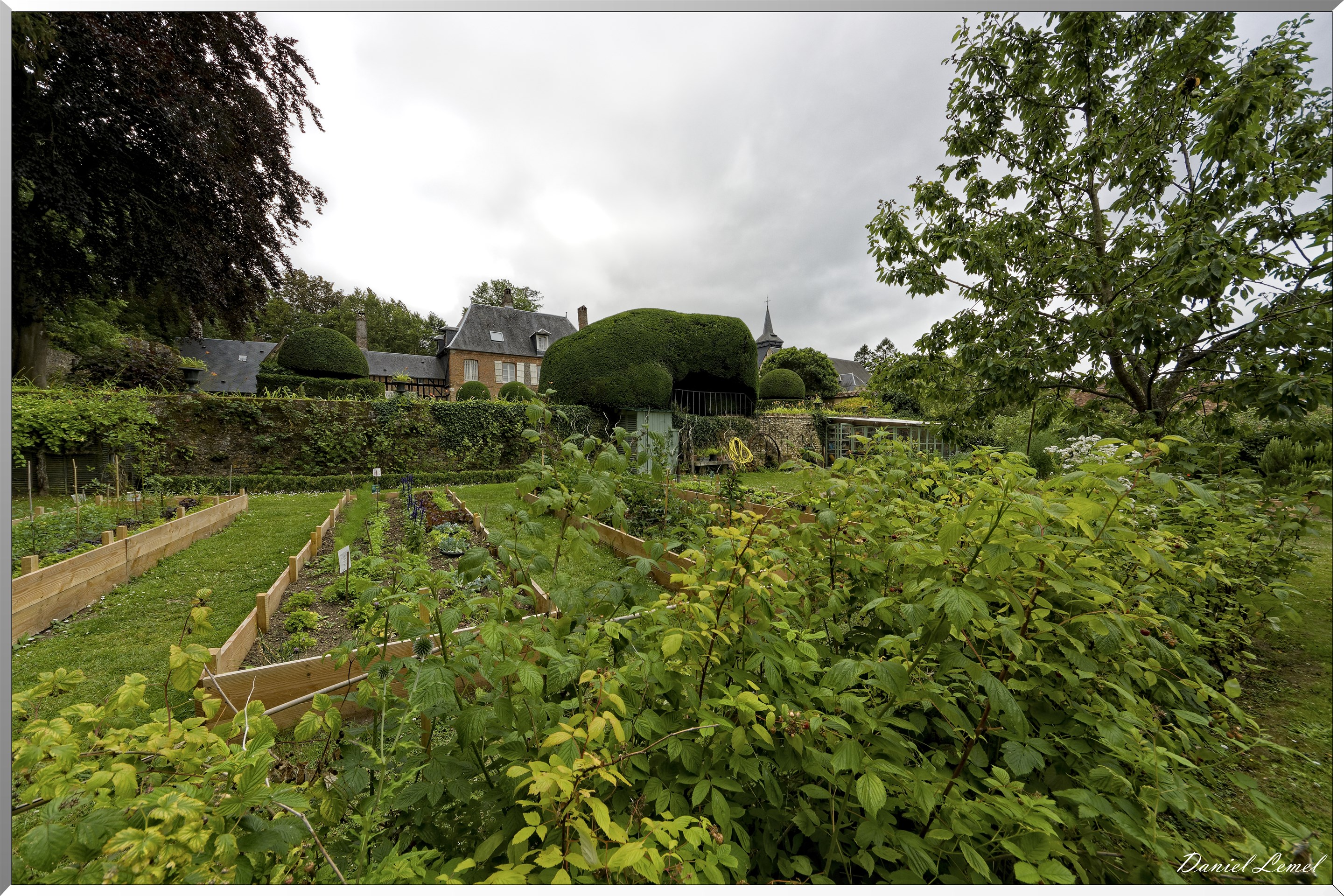 Le potager