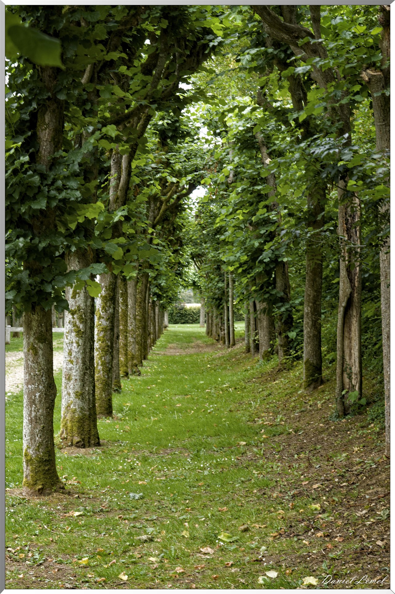 Allée du jeu de tamis